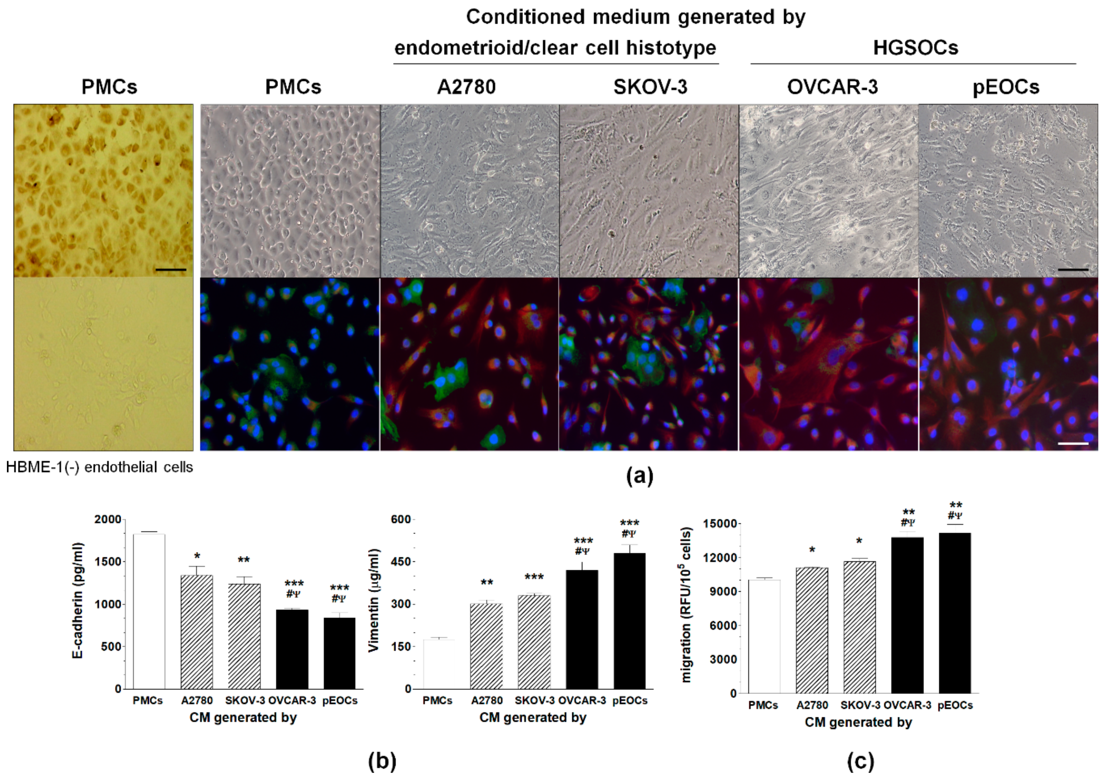 Cancers 11 00662 g001