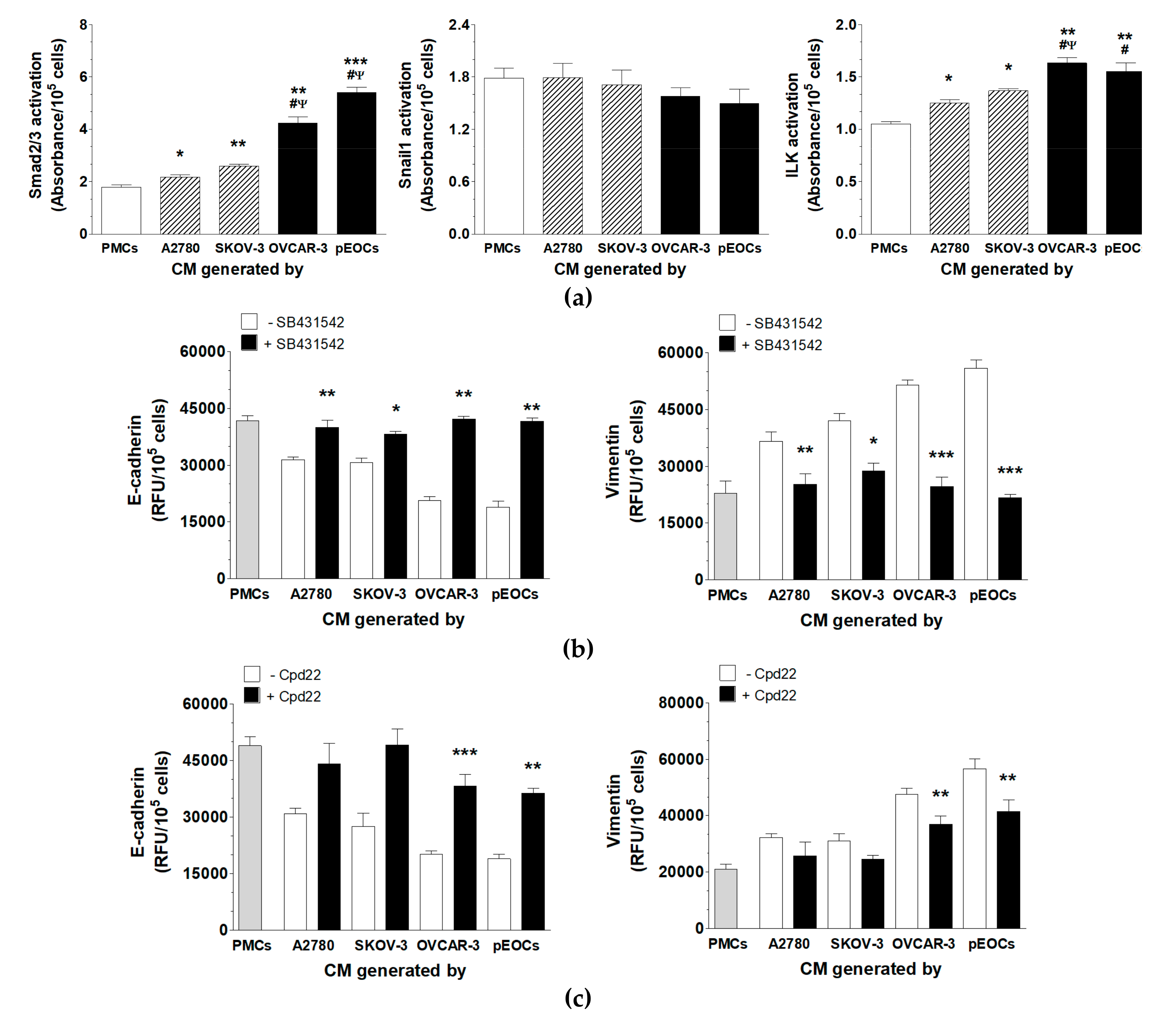 Cancers 11 00662 g004