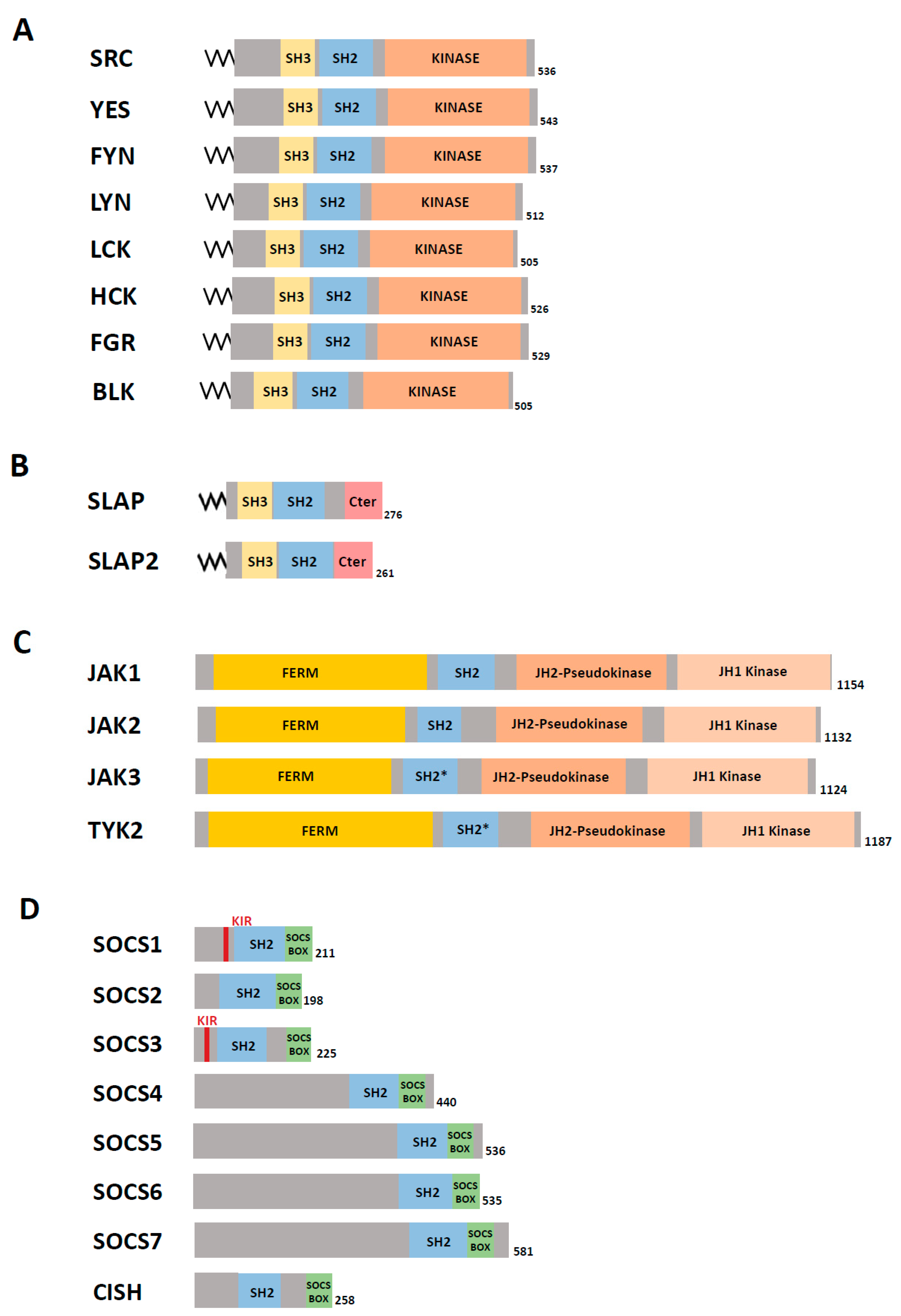 Cancers 11 00669 g002 Cancers 11 00669 g002