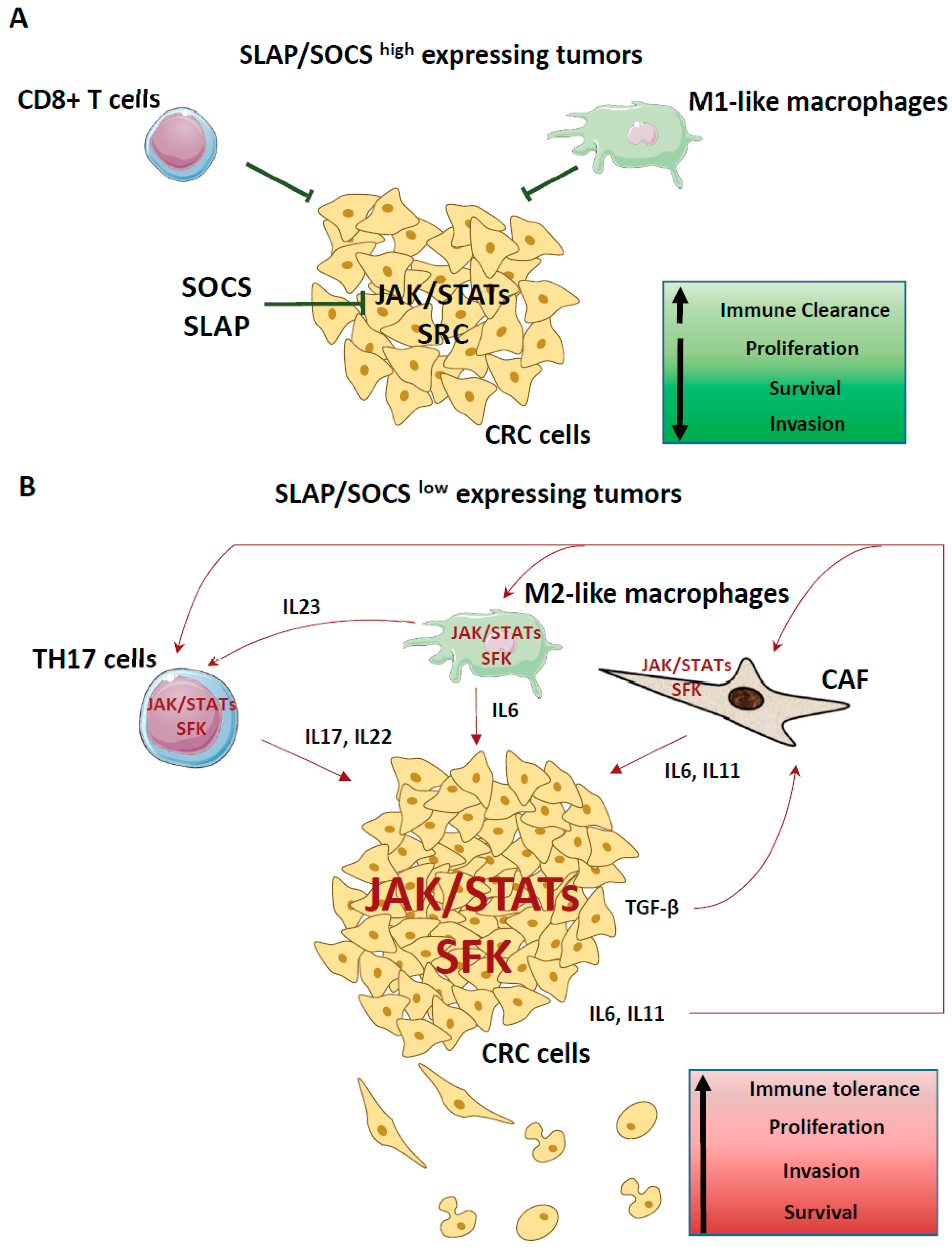 Cancers 11 00669 g004 Cancers 11 00669 g004