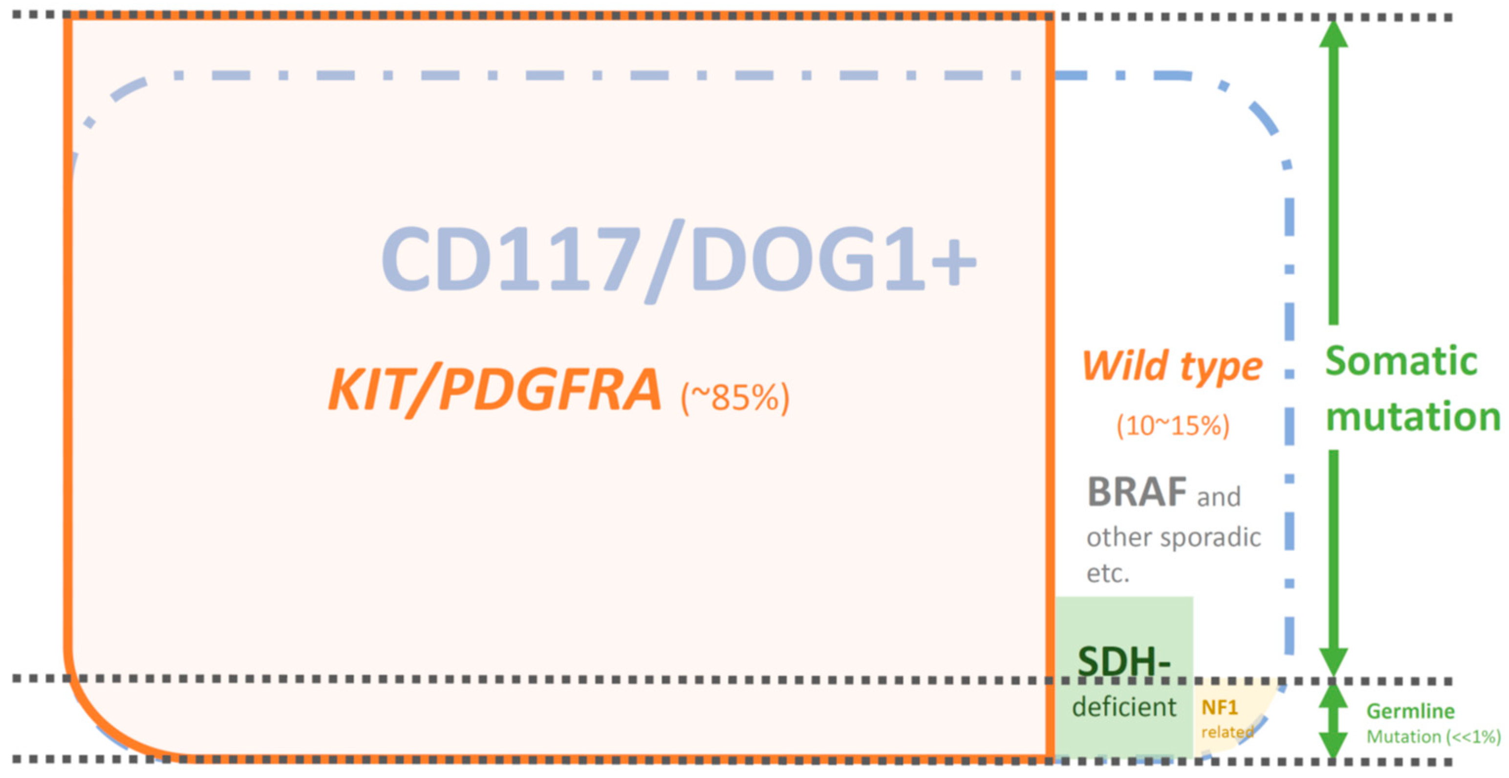 Cancers 11 00679 g001 Cancers 11 00679 g001