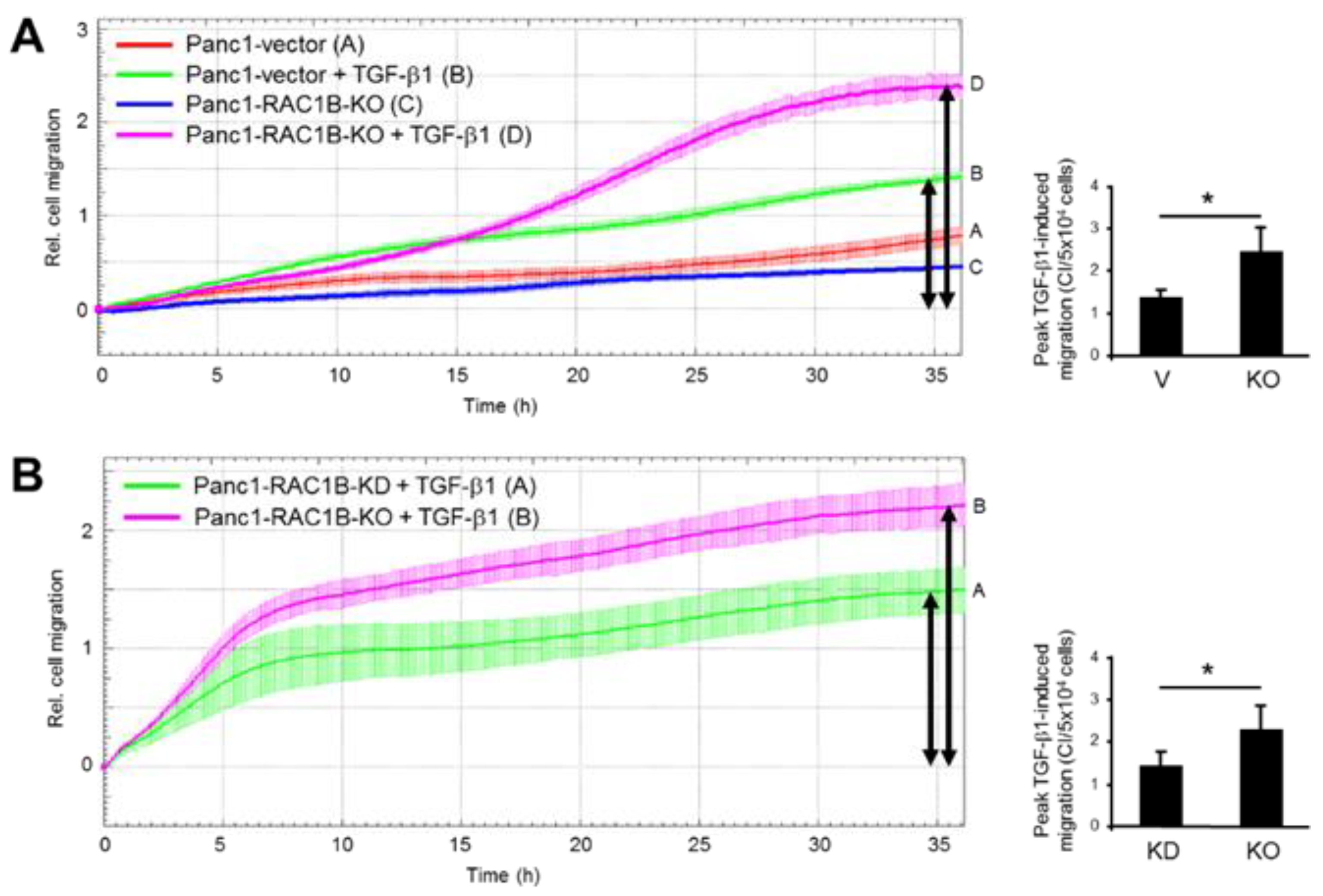 Cancers 11 00691 g003
