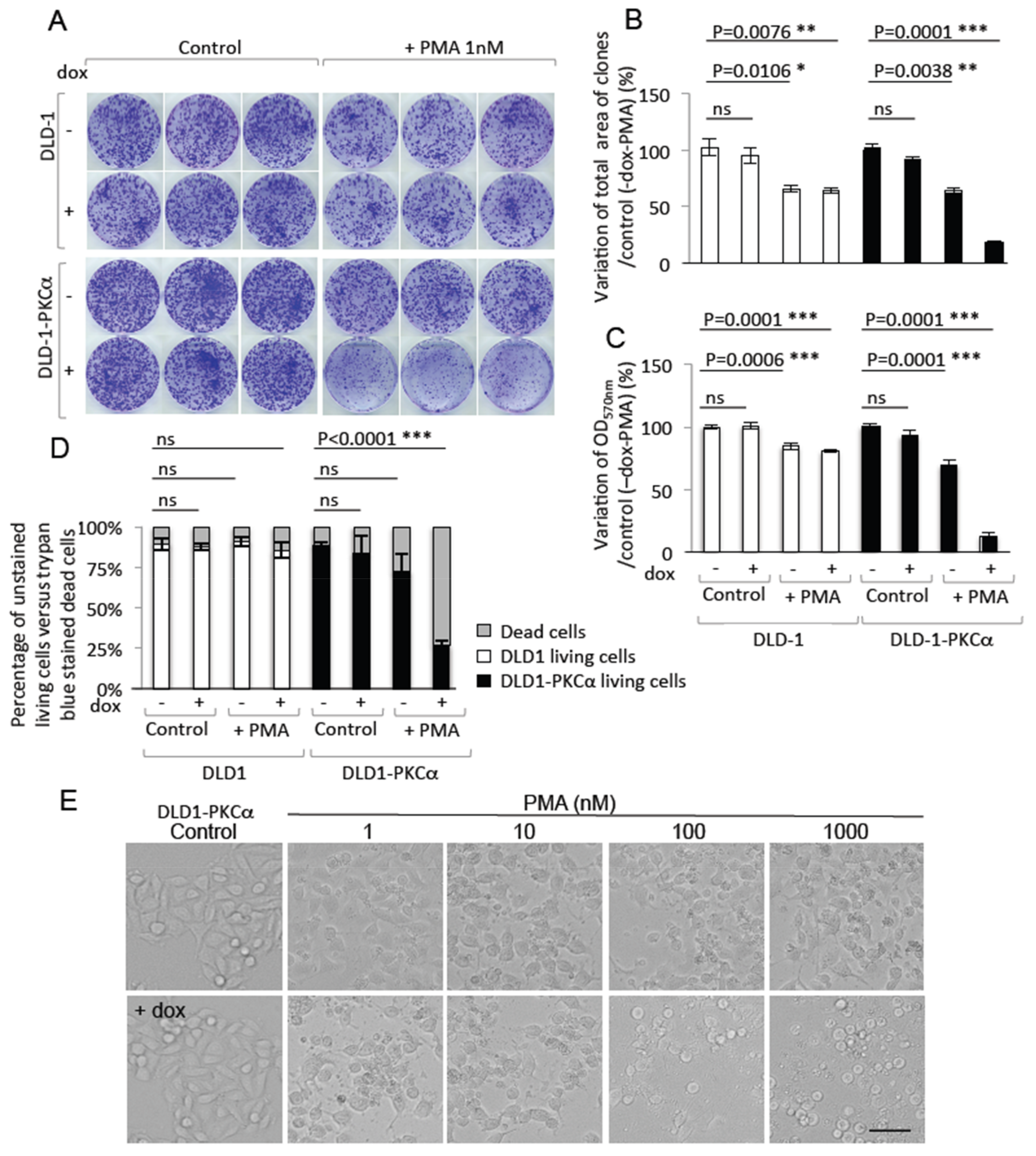 Cancers 11 00693 g006