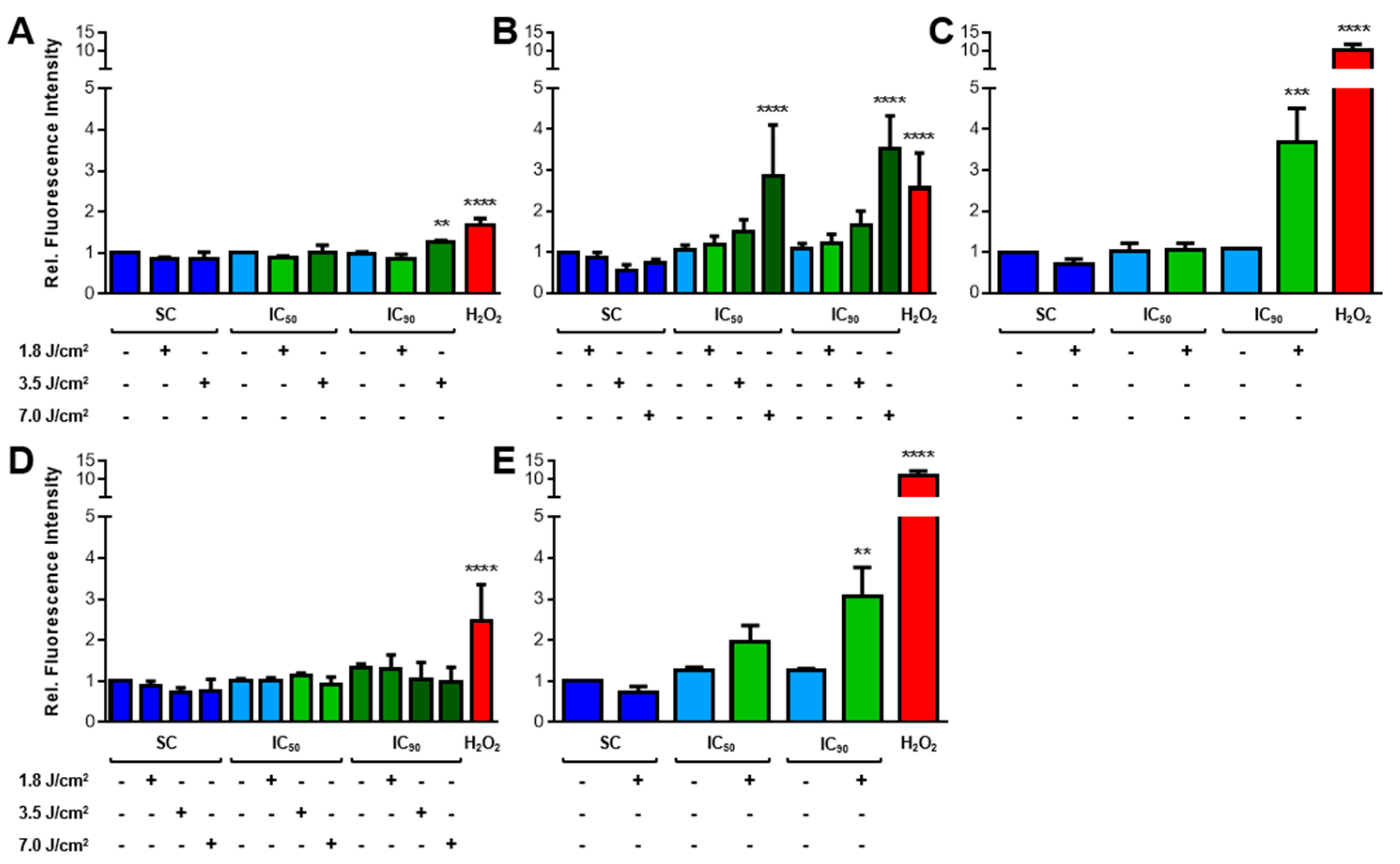 Cancers 11 00702 g003