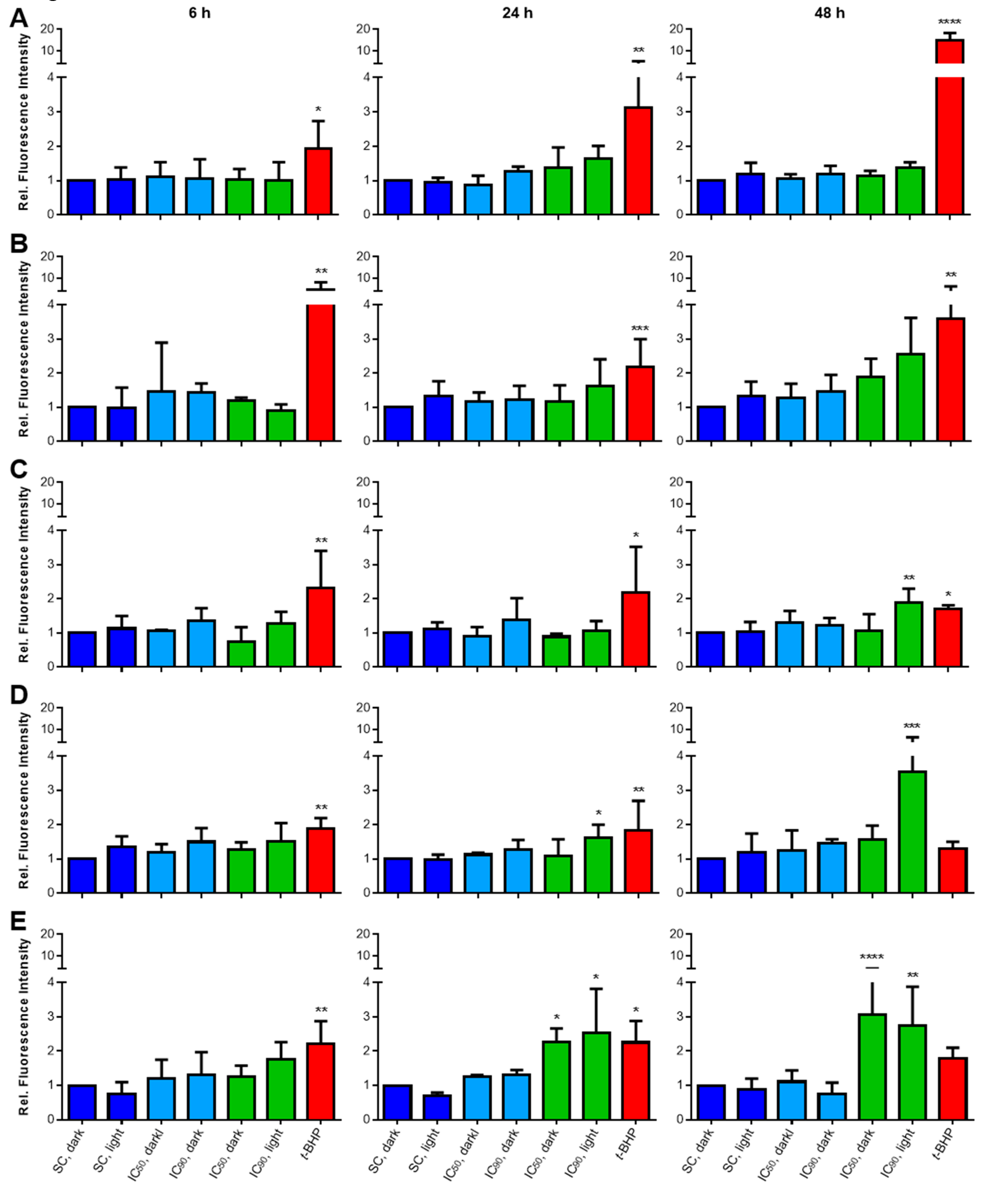 Cancers 11 00702 g004
