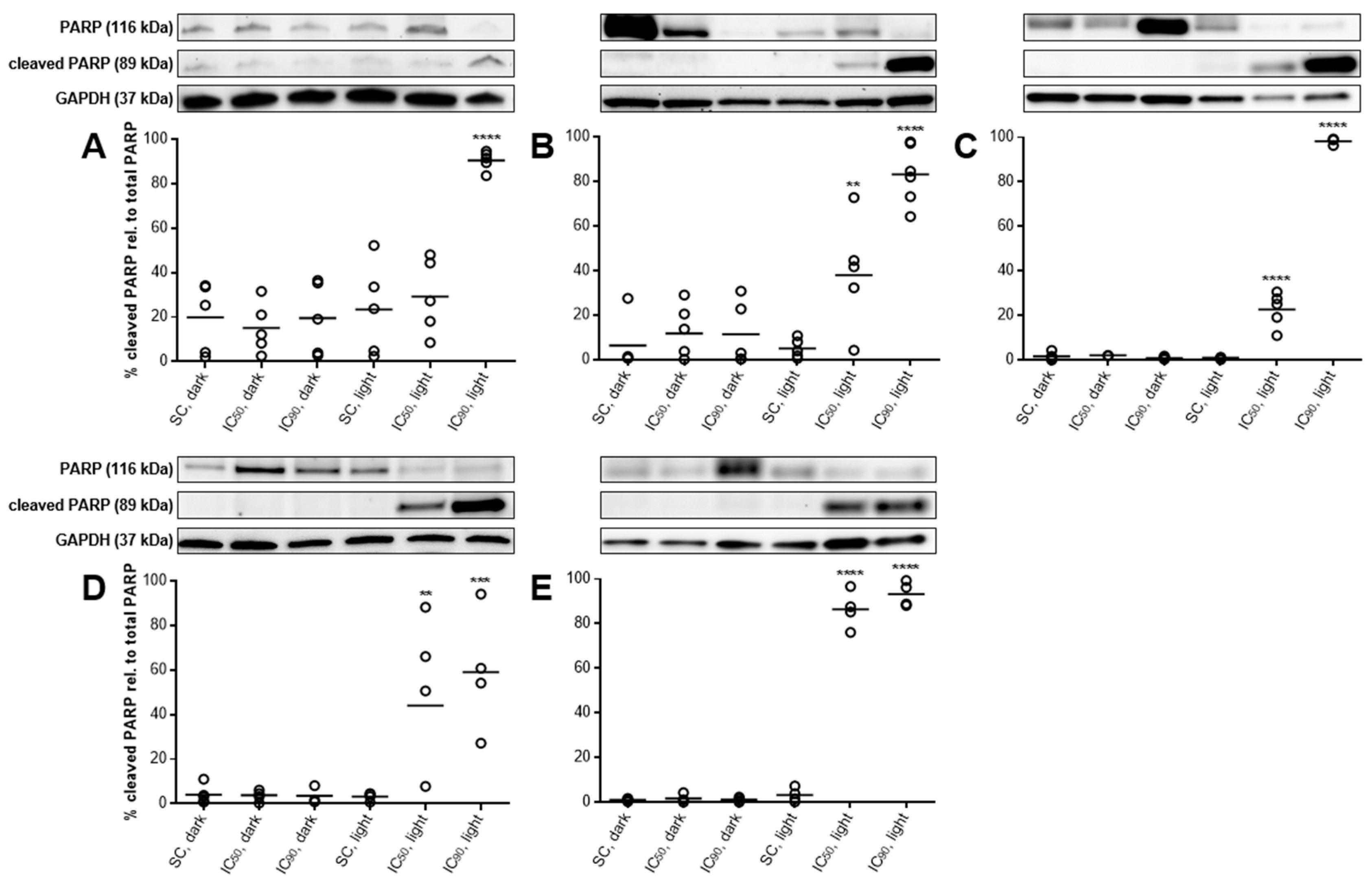 Cancers 11 00702 g007