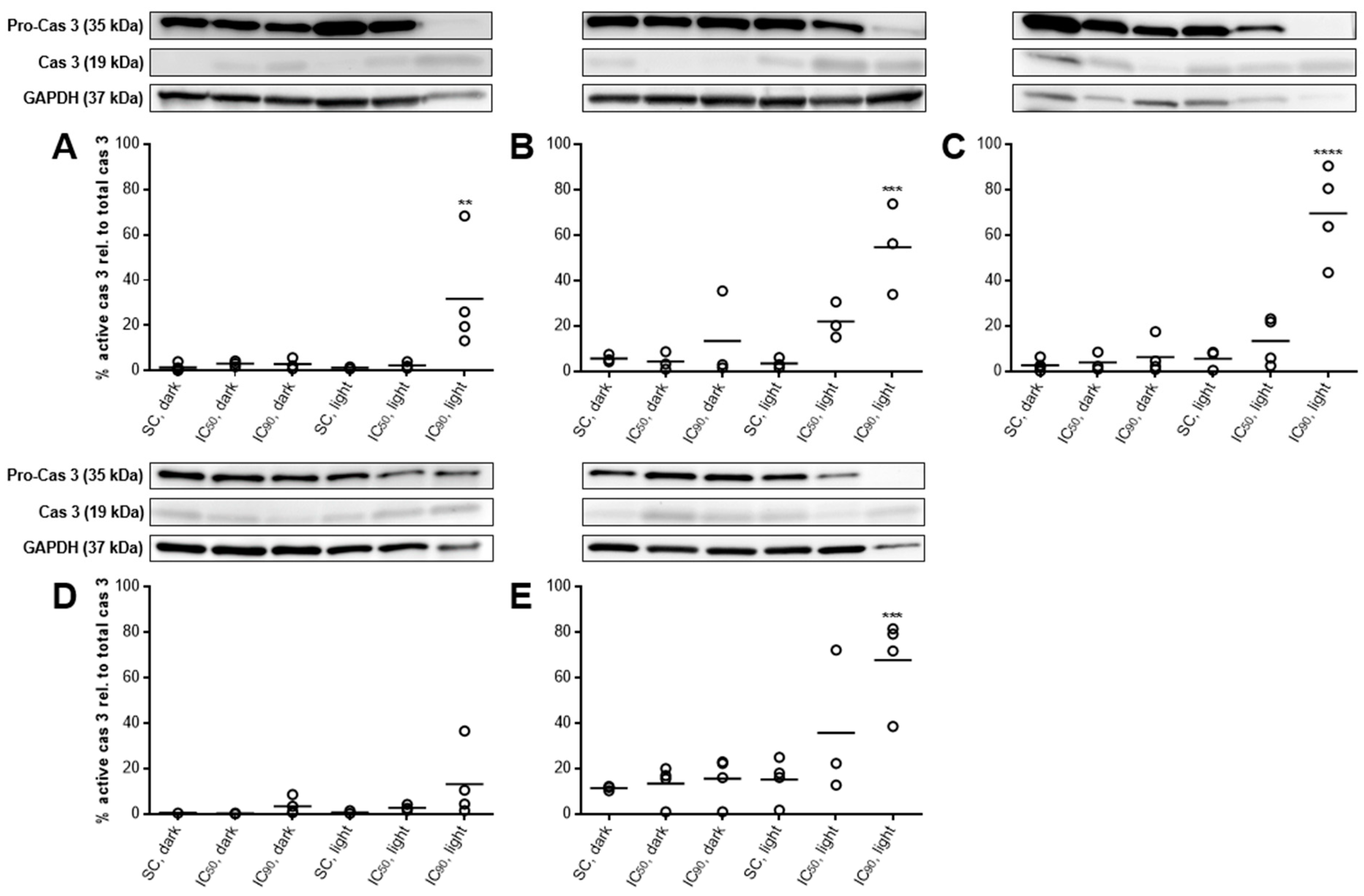 Cancers 11 00702 g008