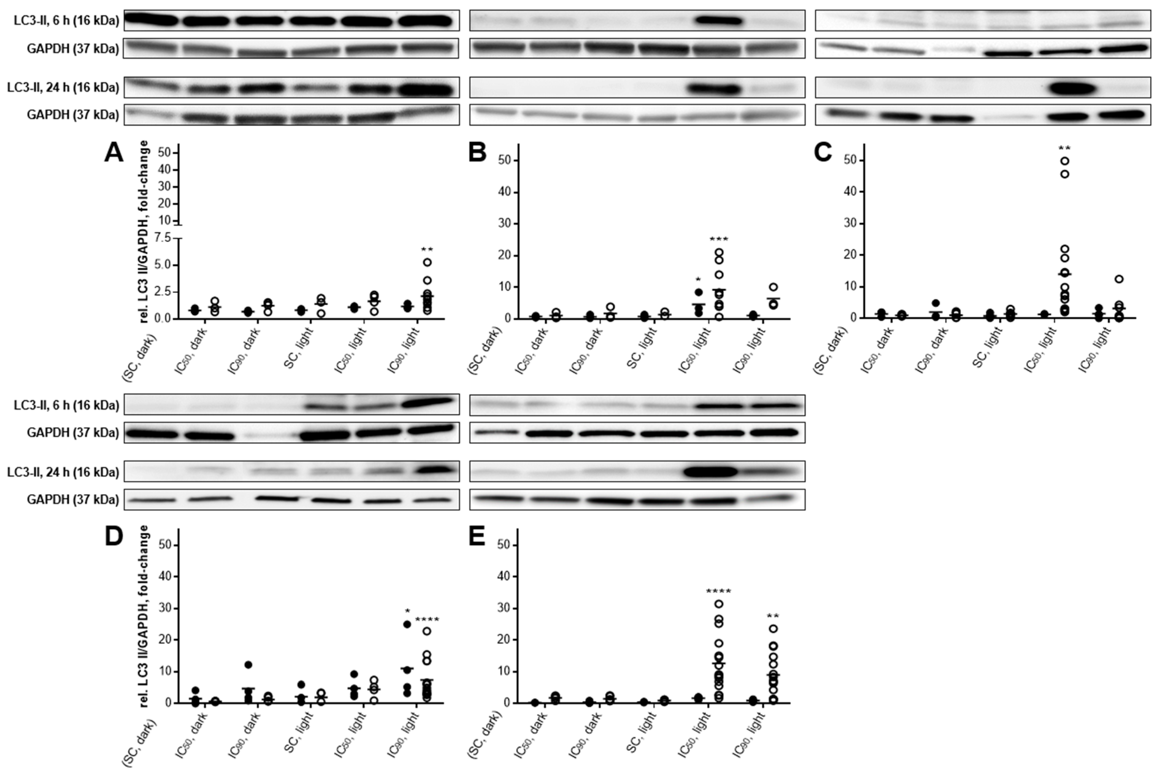 Cancers 11 00702 g010