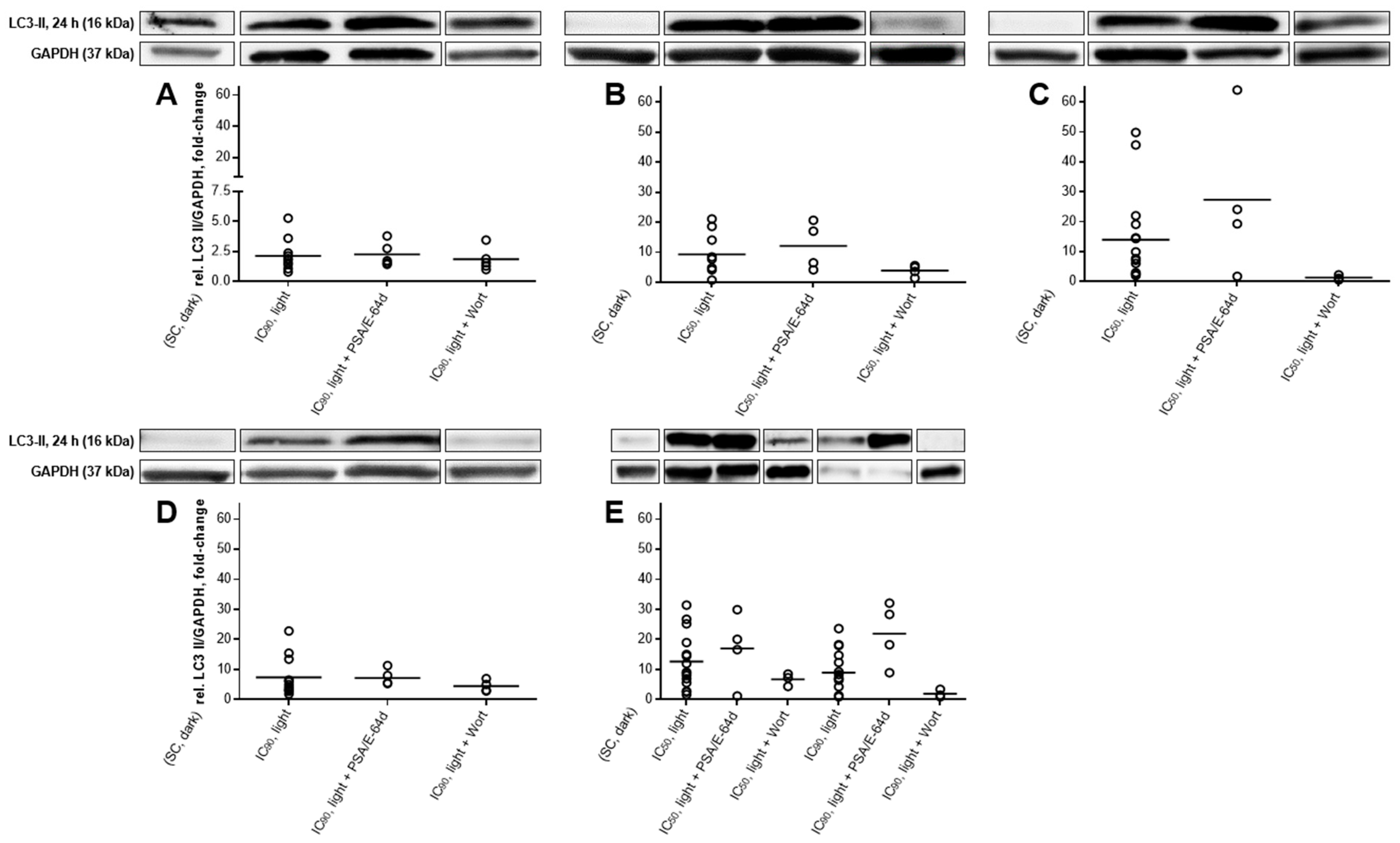 Cancers 11 00702 g011