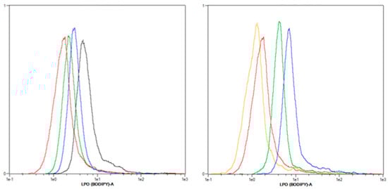 Cancers 11 00702 g0a2