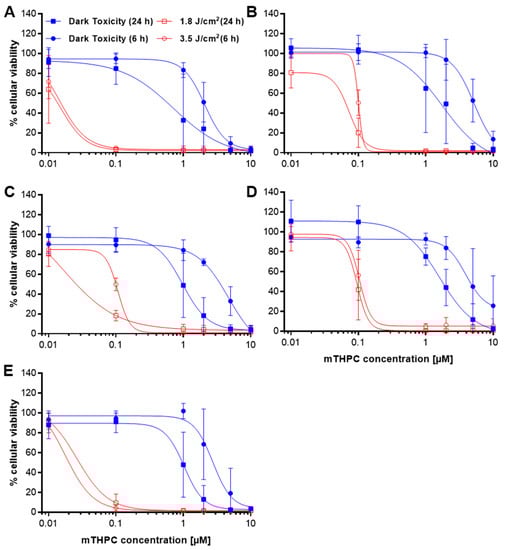 Cancers 11 00702 g0a5
