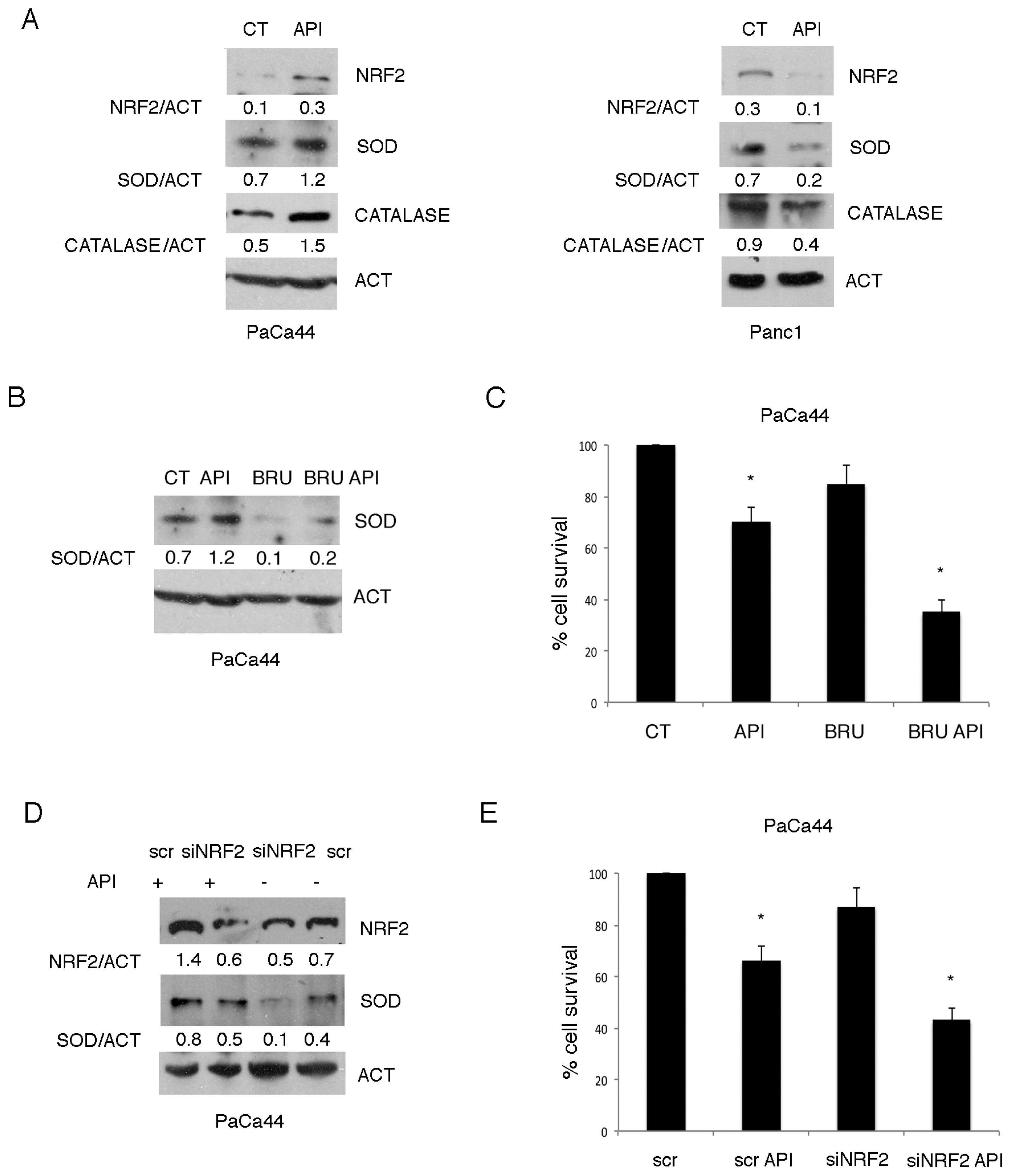 Cancers 11 00703 g002 Cancers 11 00703 g002