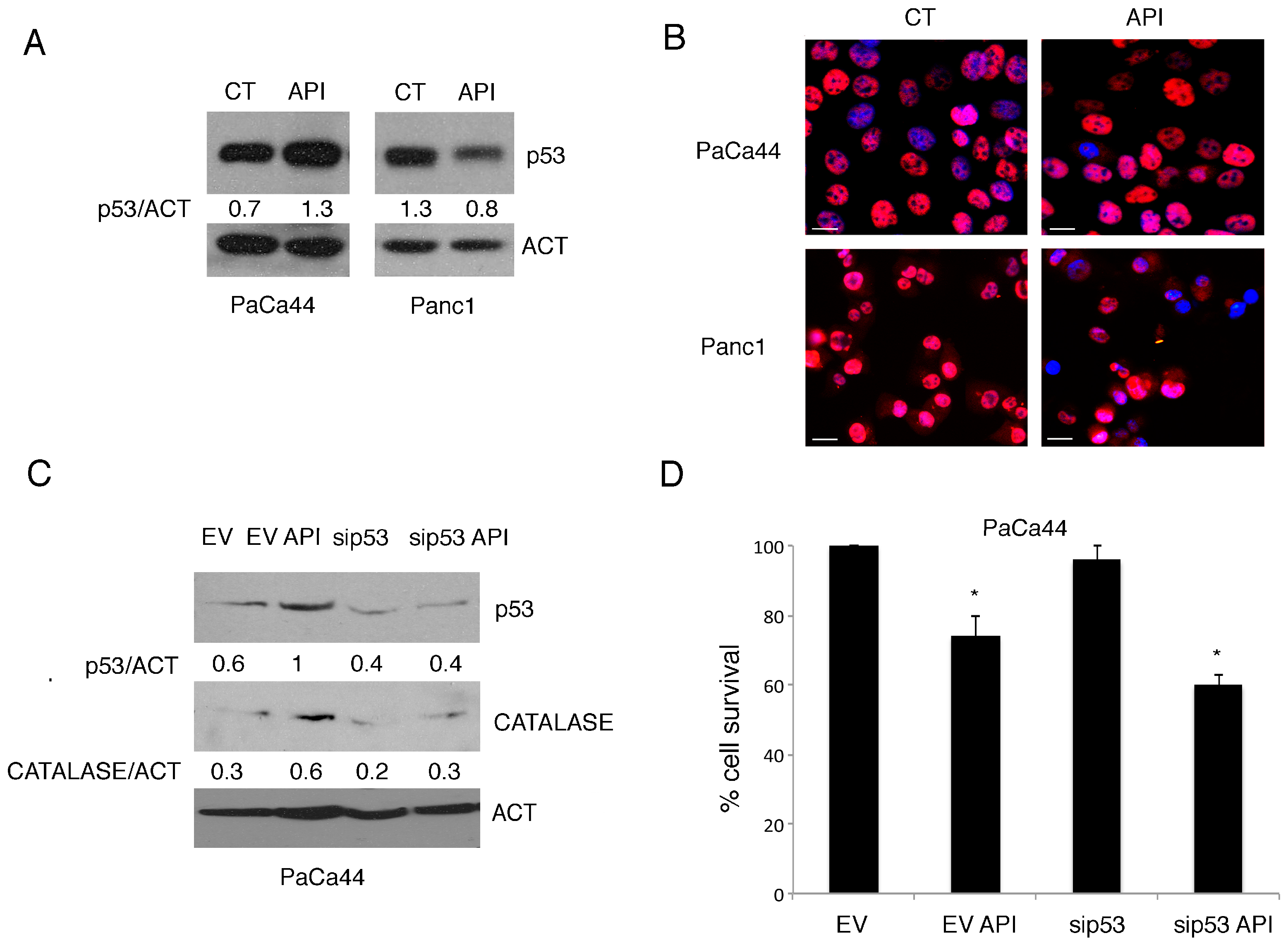 Cancers 11 00703 g003 Cancers 11 00703 g003