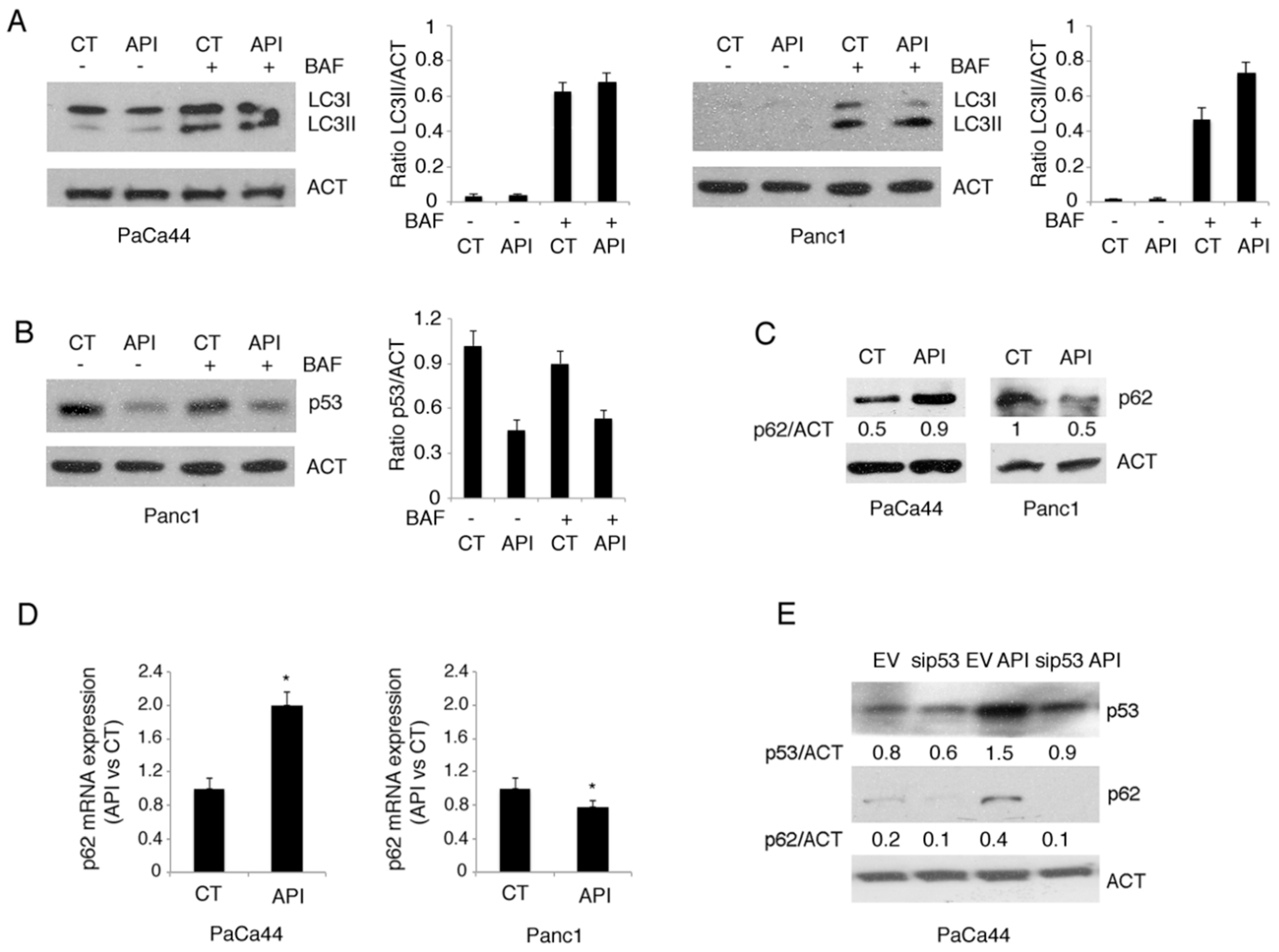 Cancers 11 00703 g004 Cancers 11 00703 g004
