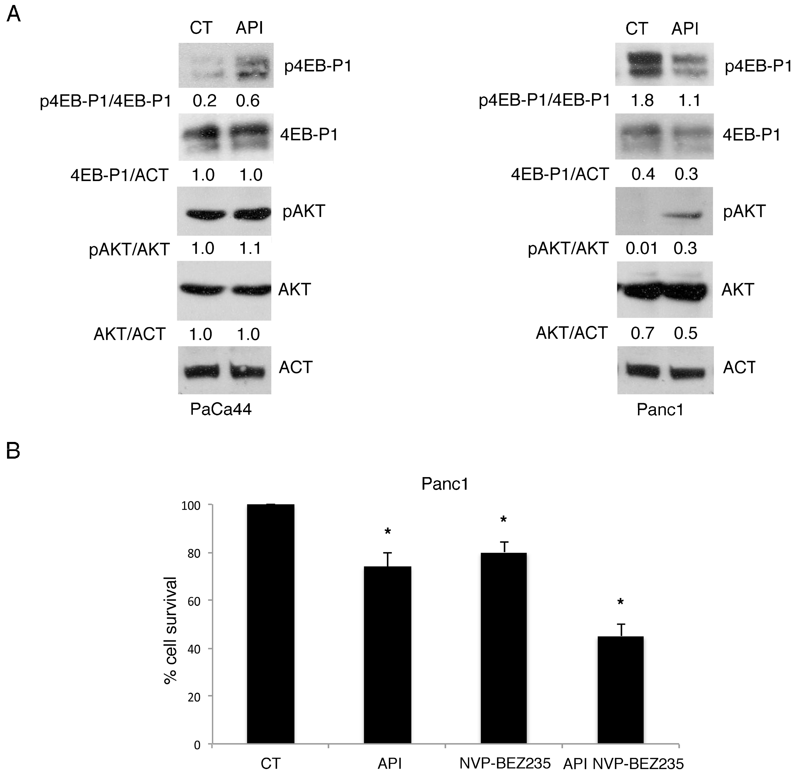 Cancers 11 00703 g007 Cancers 11 00703 g007