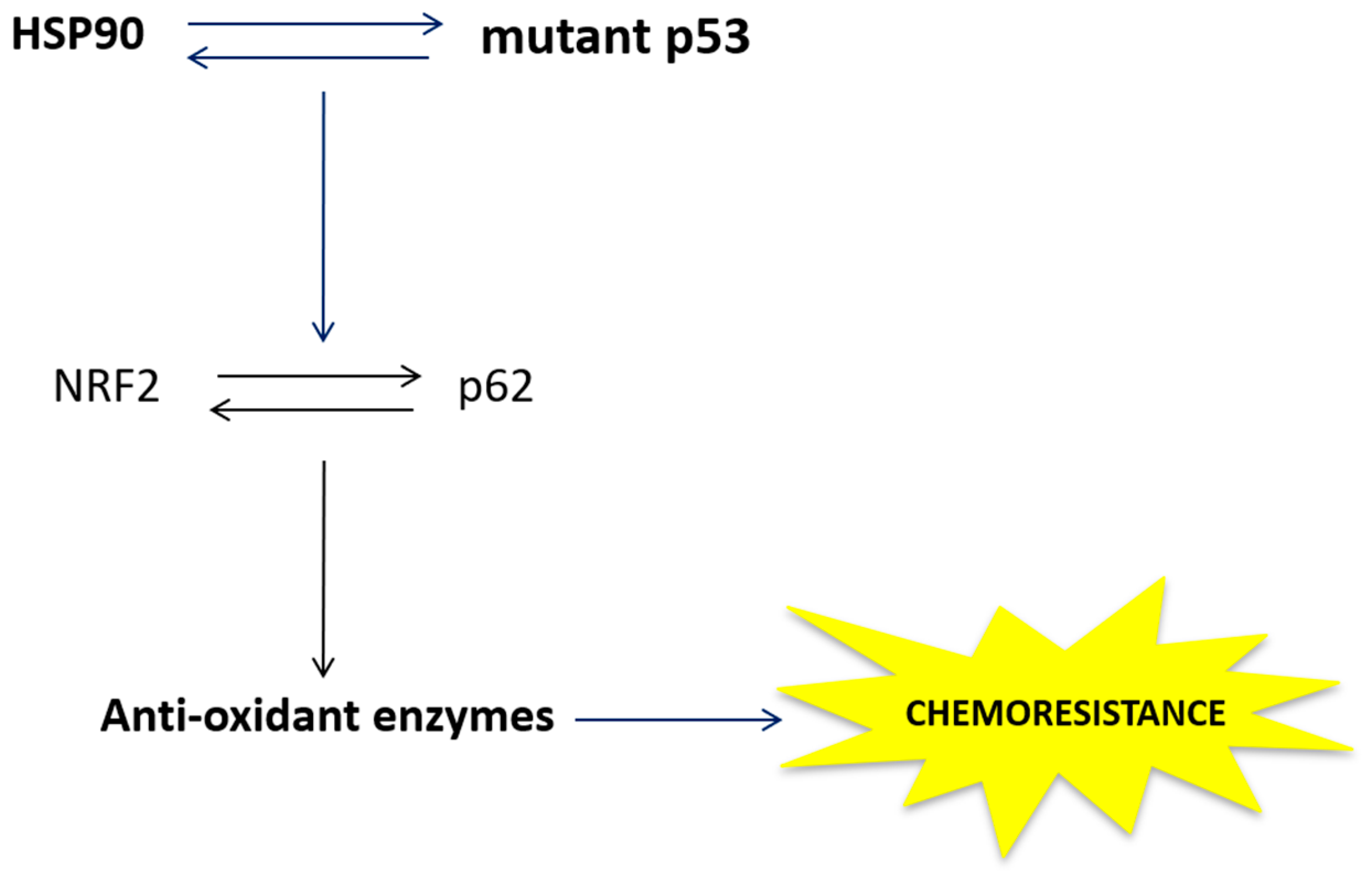 Cancers 11 00703 g008 Cancers 11 00703 g008