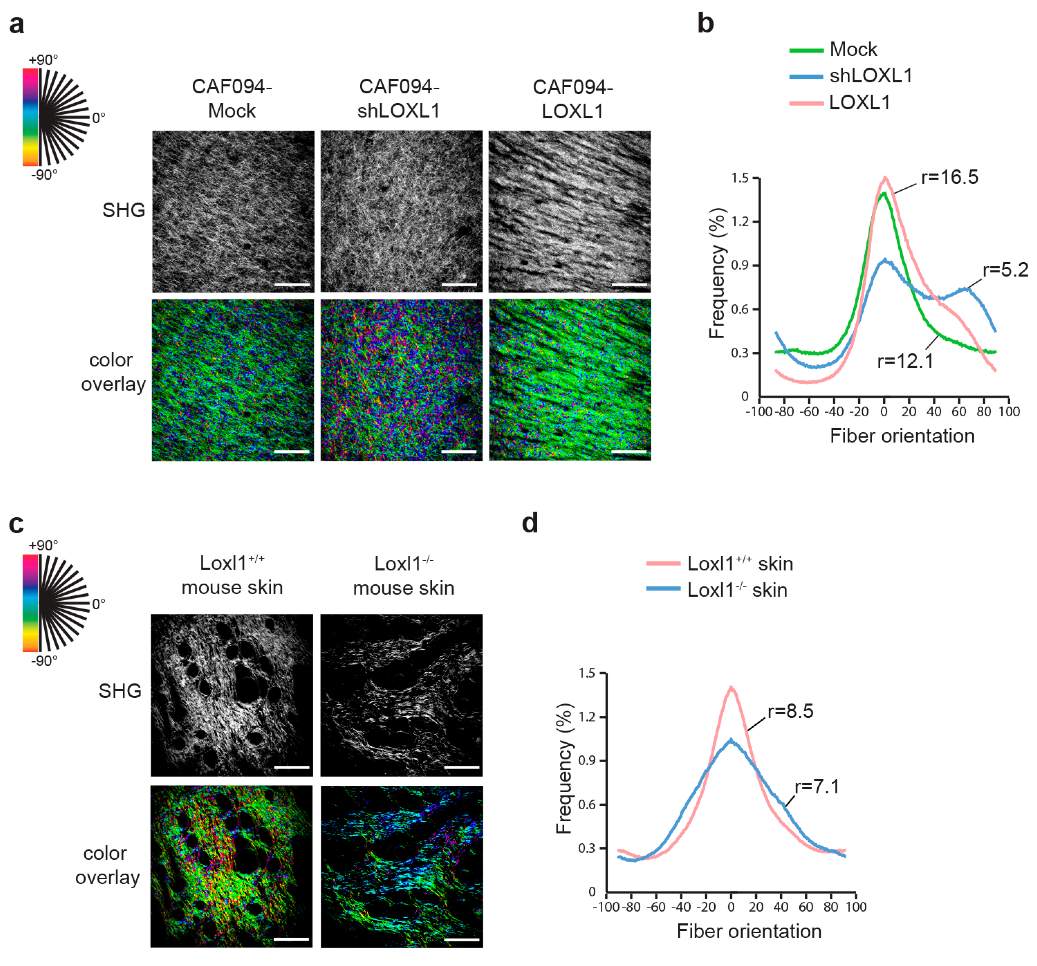 Cancers 11 00705 g003