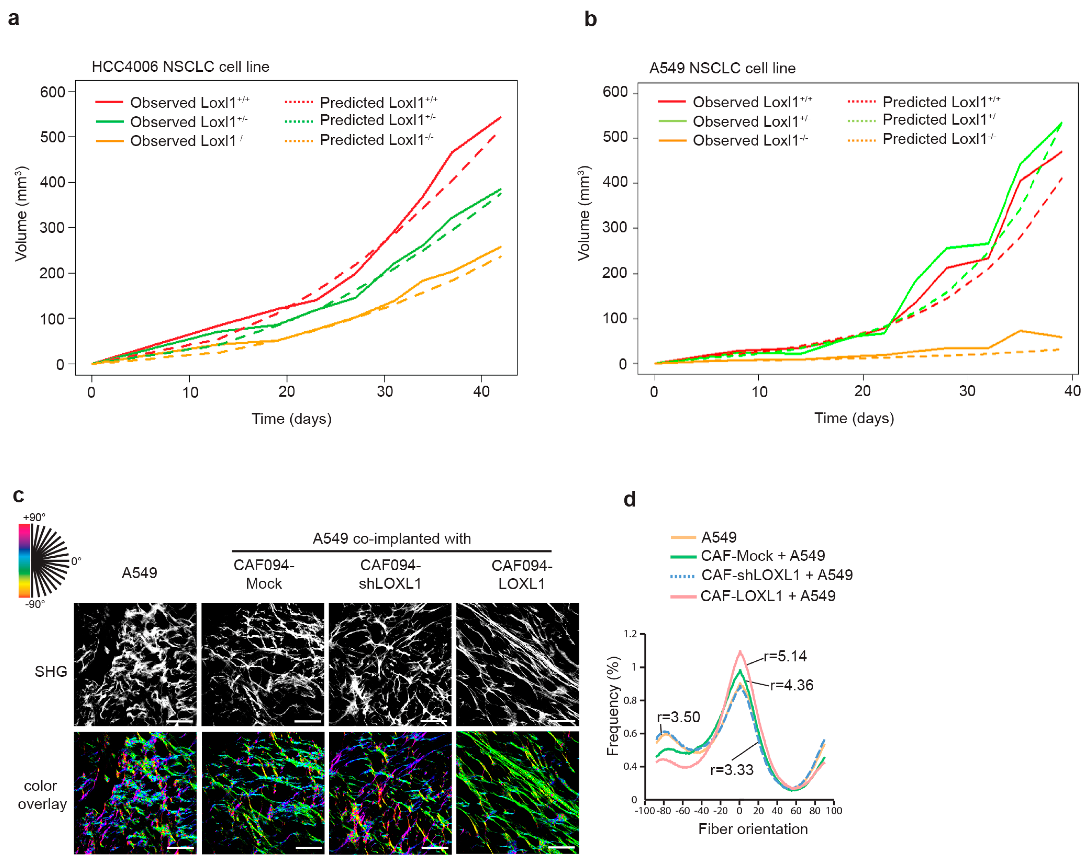 Cancers 11 00705 g005