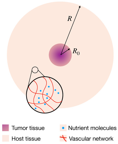 Cancers 11 00716 g0a1