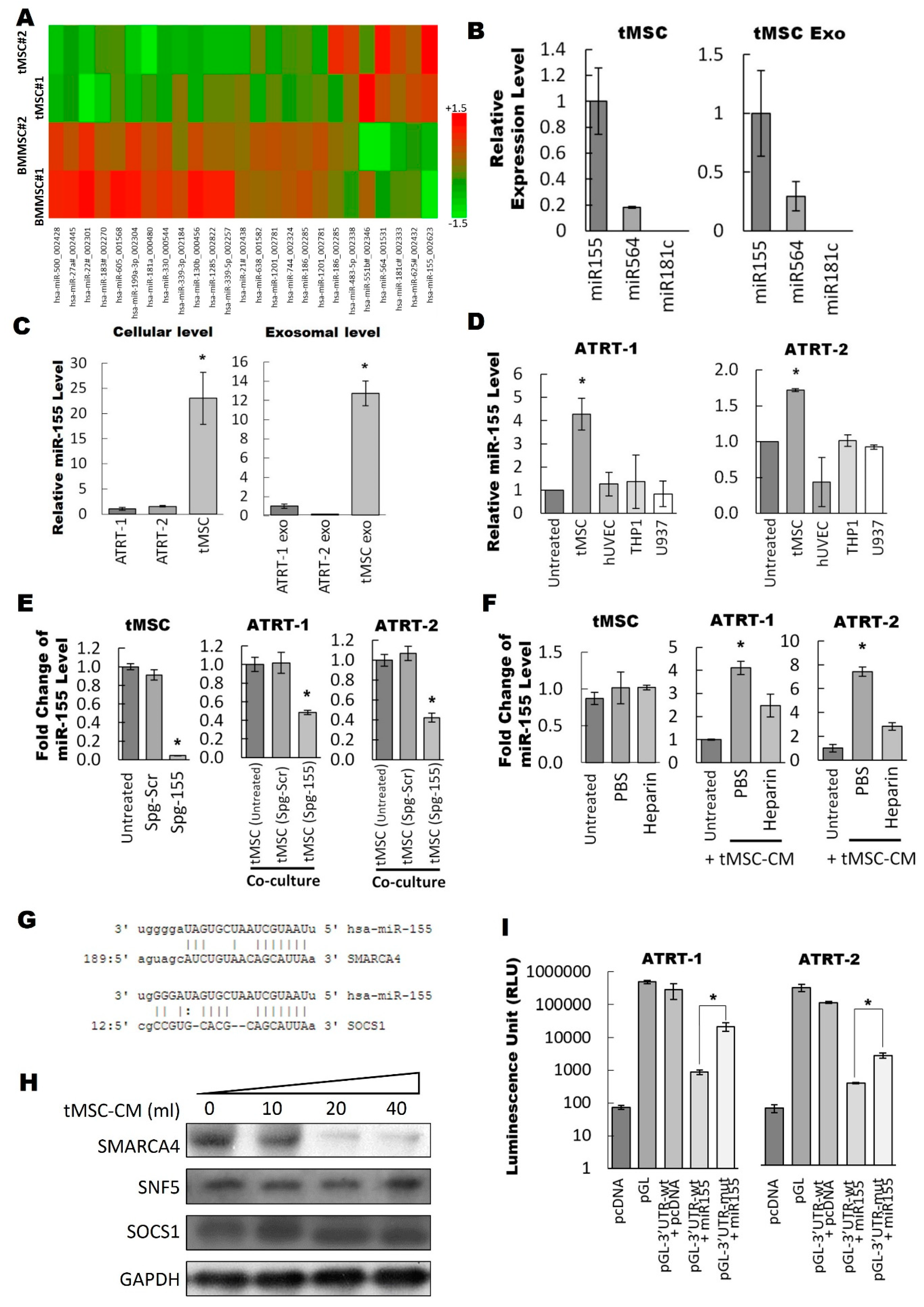 Cancers 11 00720 g003