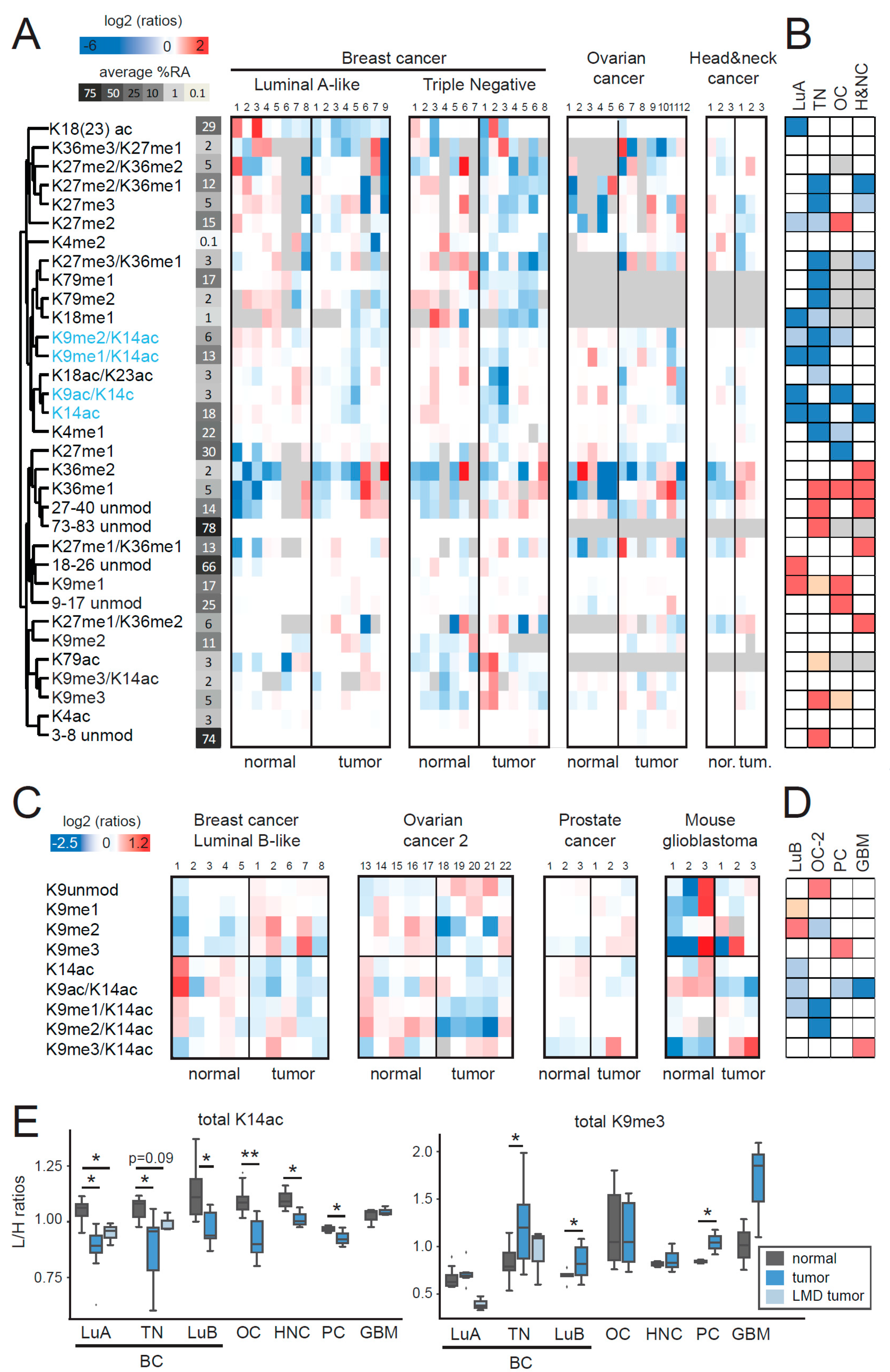 Cancers 11 00723 g001