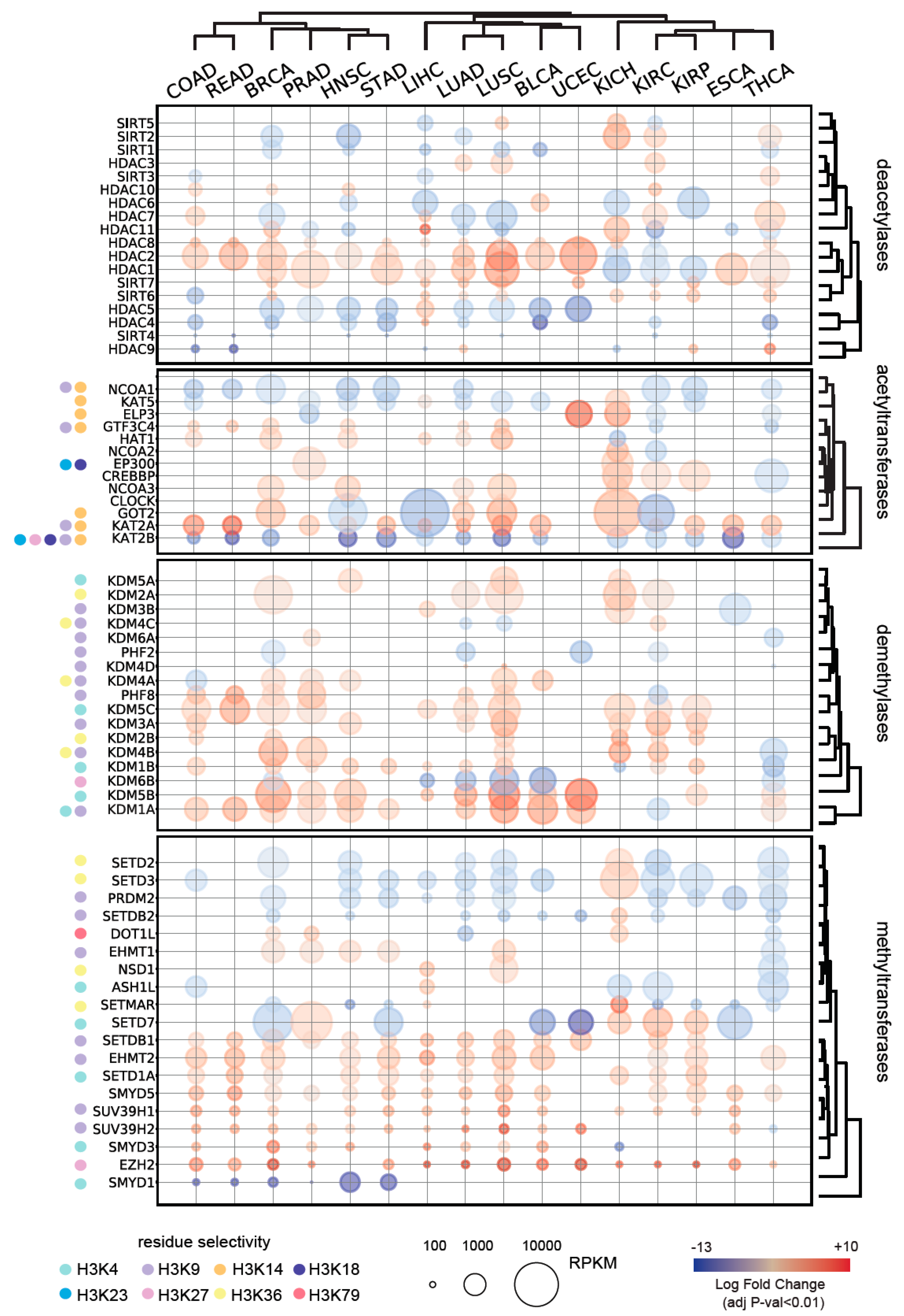 Cancers 11 00723 g003