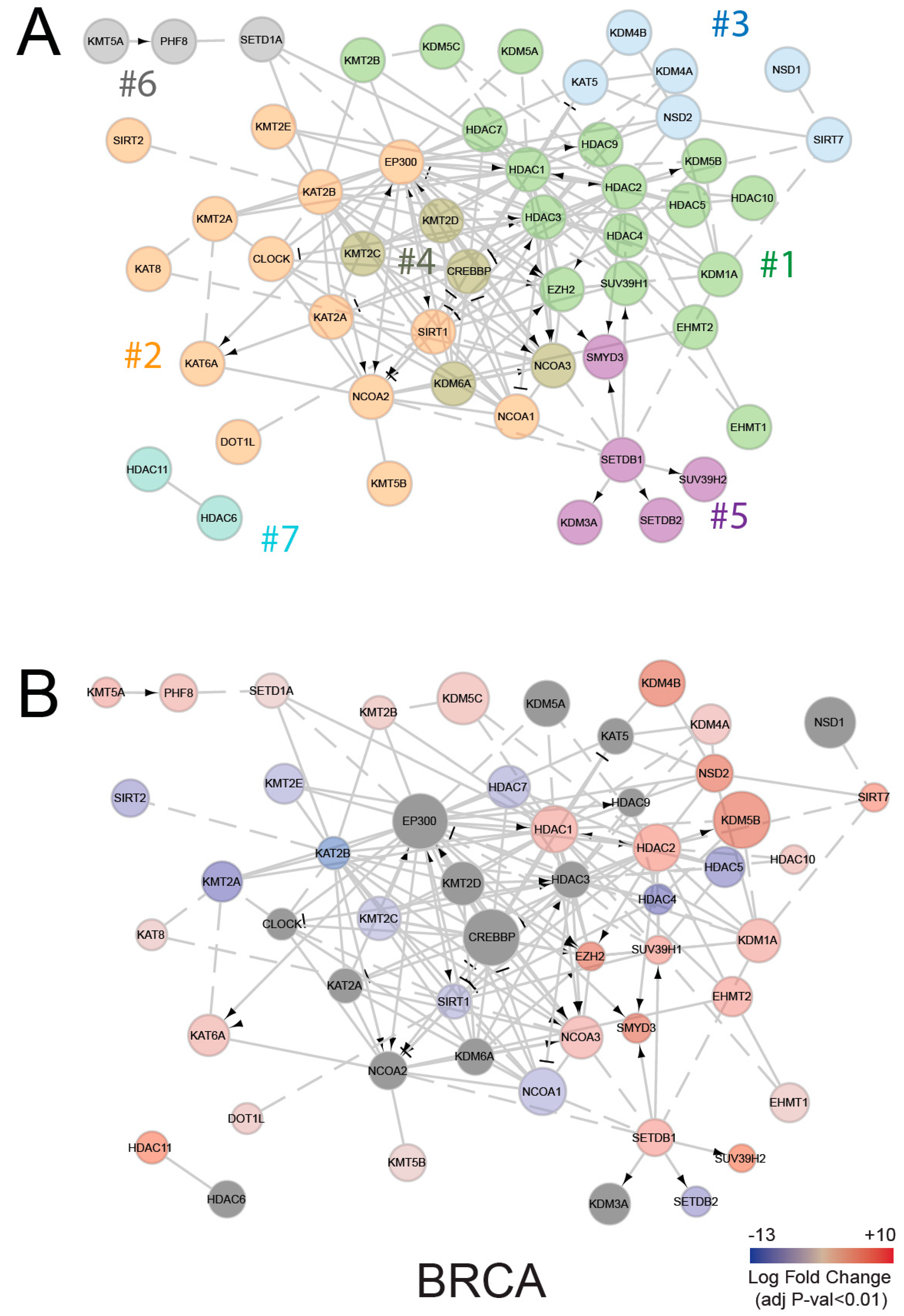 Cancers 11 00723 g004