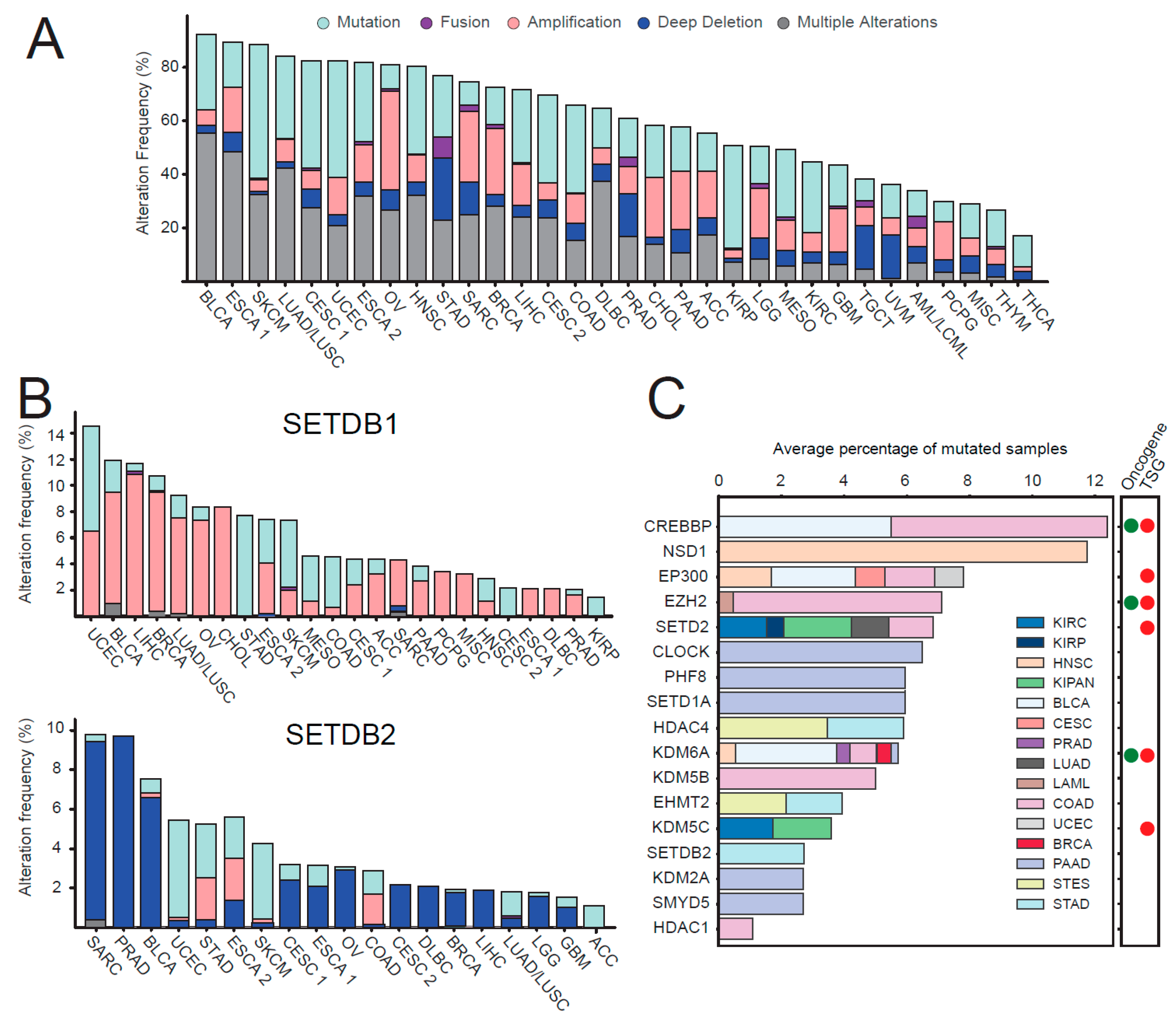 Cancers 11 00723 g005