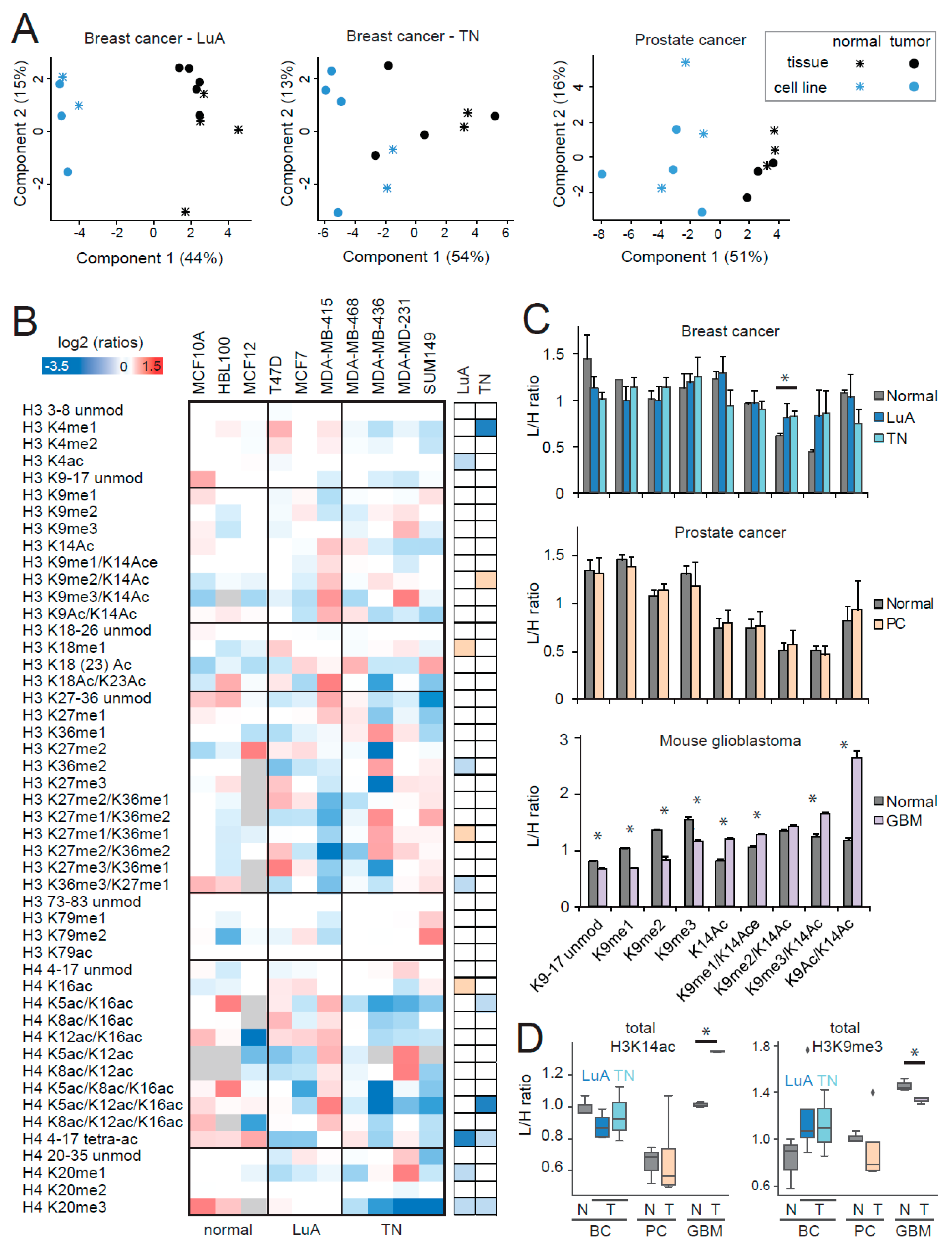 Cancers 11 00723 g006