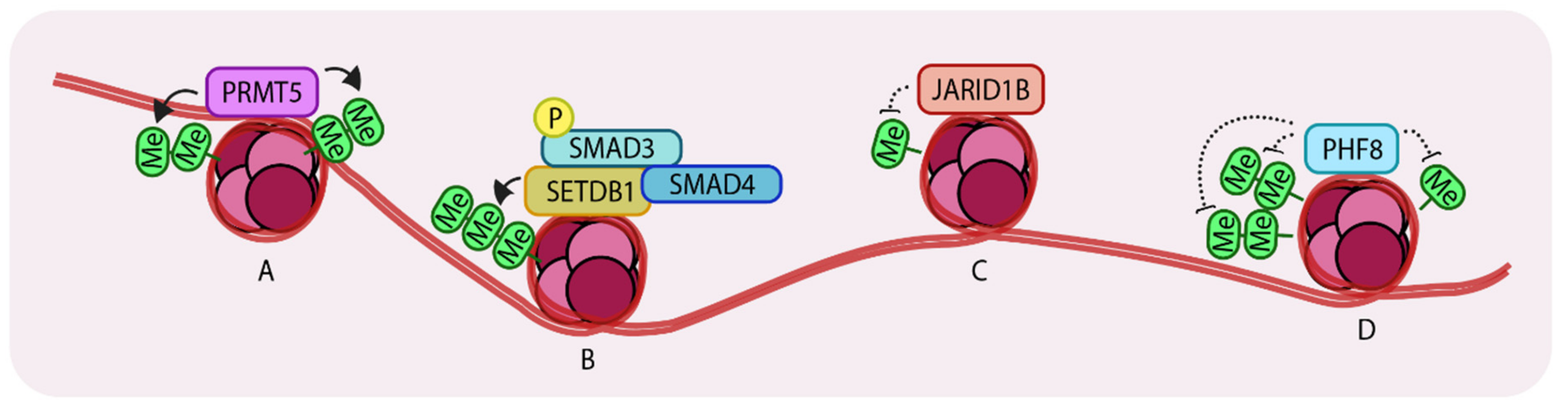 Cancers 11 00726 g003 Cancers 11 00726 g003