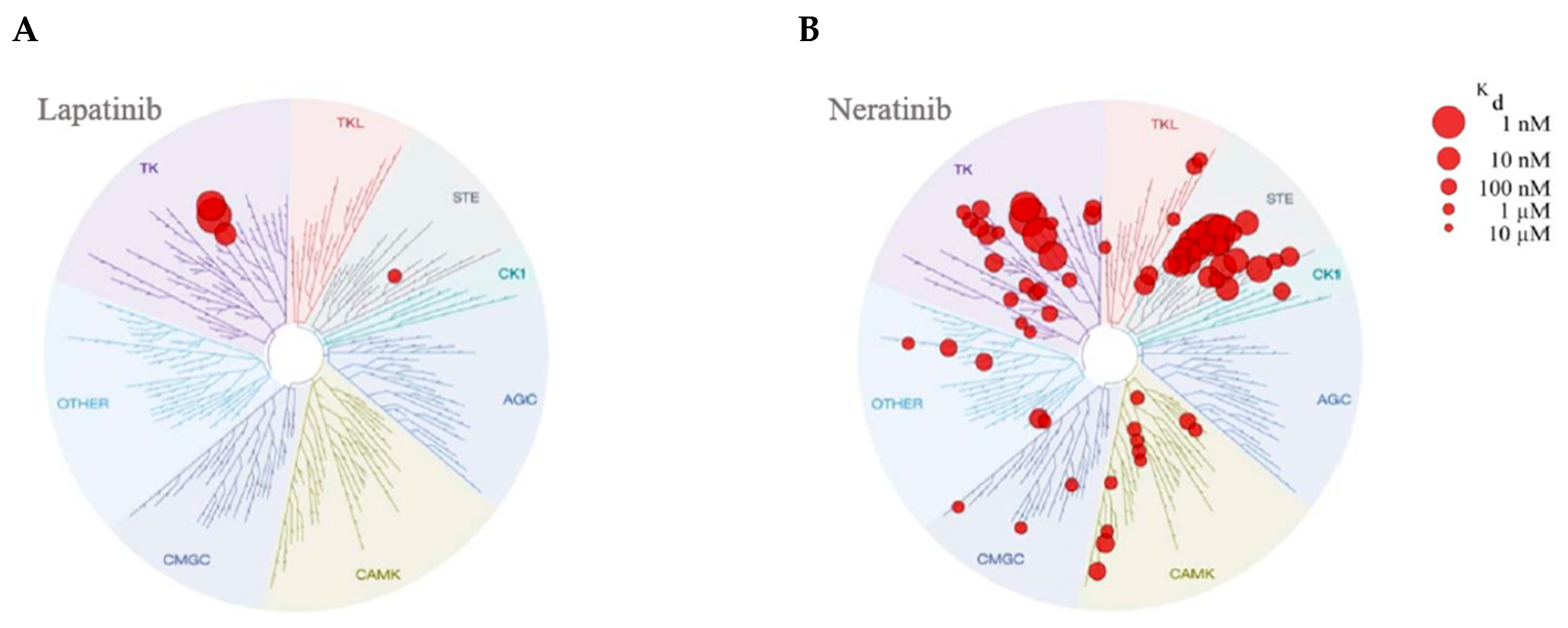 Cancers 11 00737 g003 Cancers 11 00737 g003