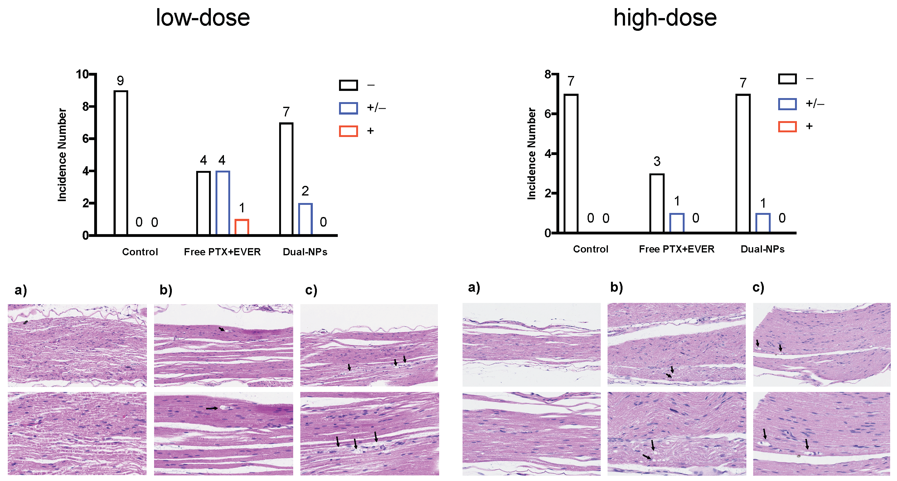 Cancers 11 00752 g005 Cancers 11 00752 g005