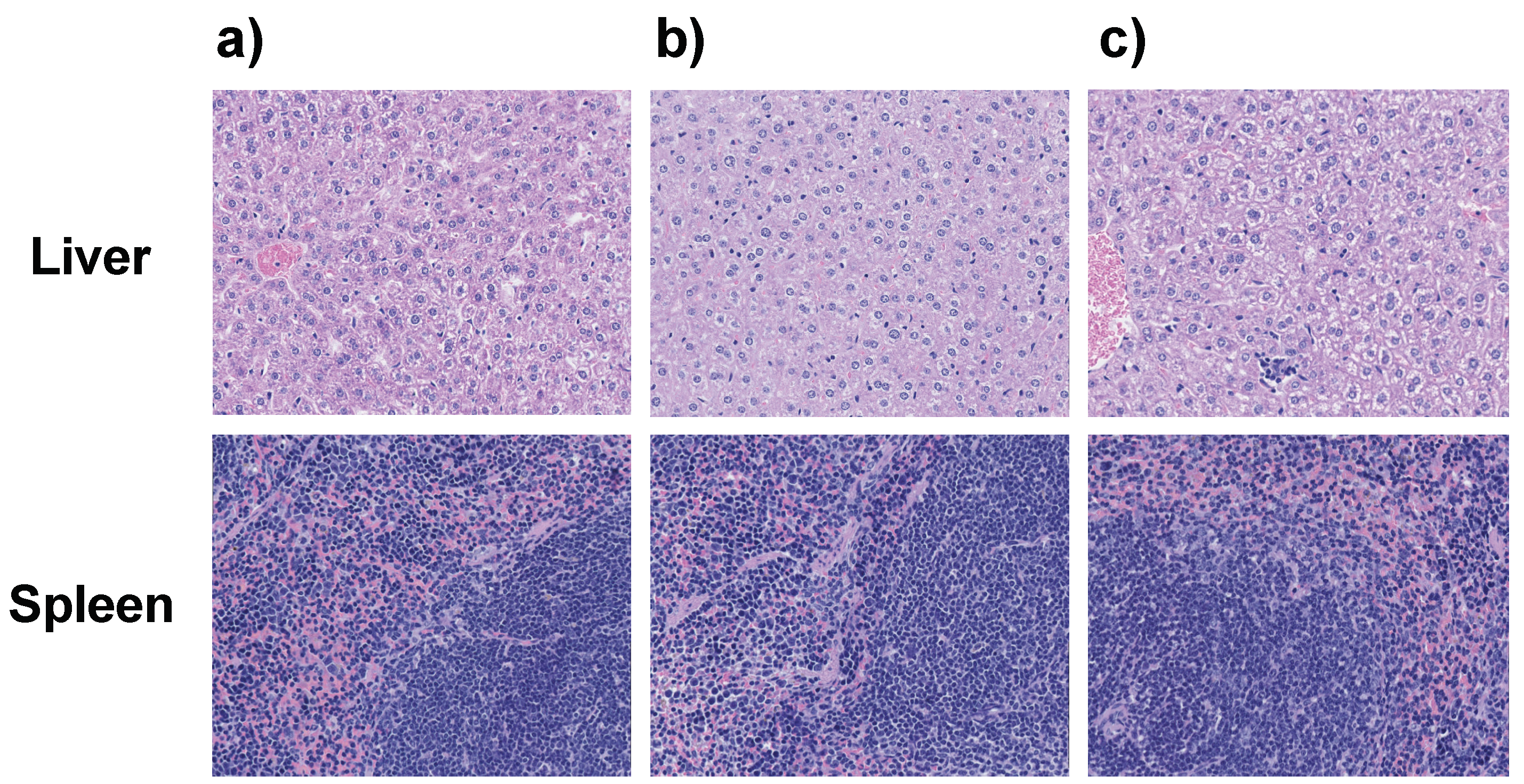 Cancers 11 00752 g008 Cancers 11 00752 g008