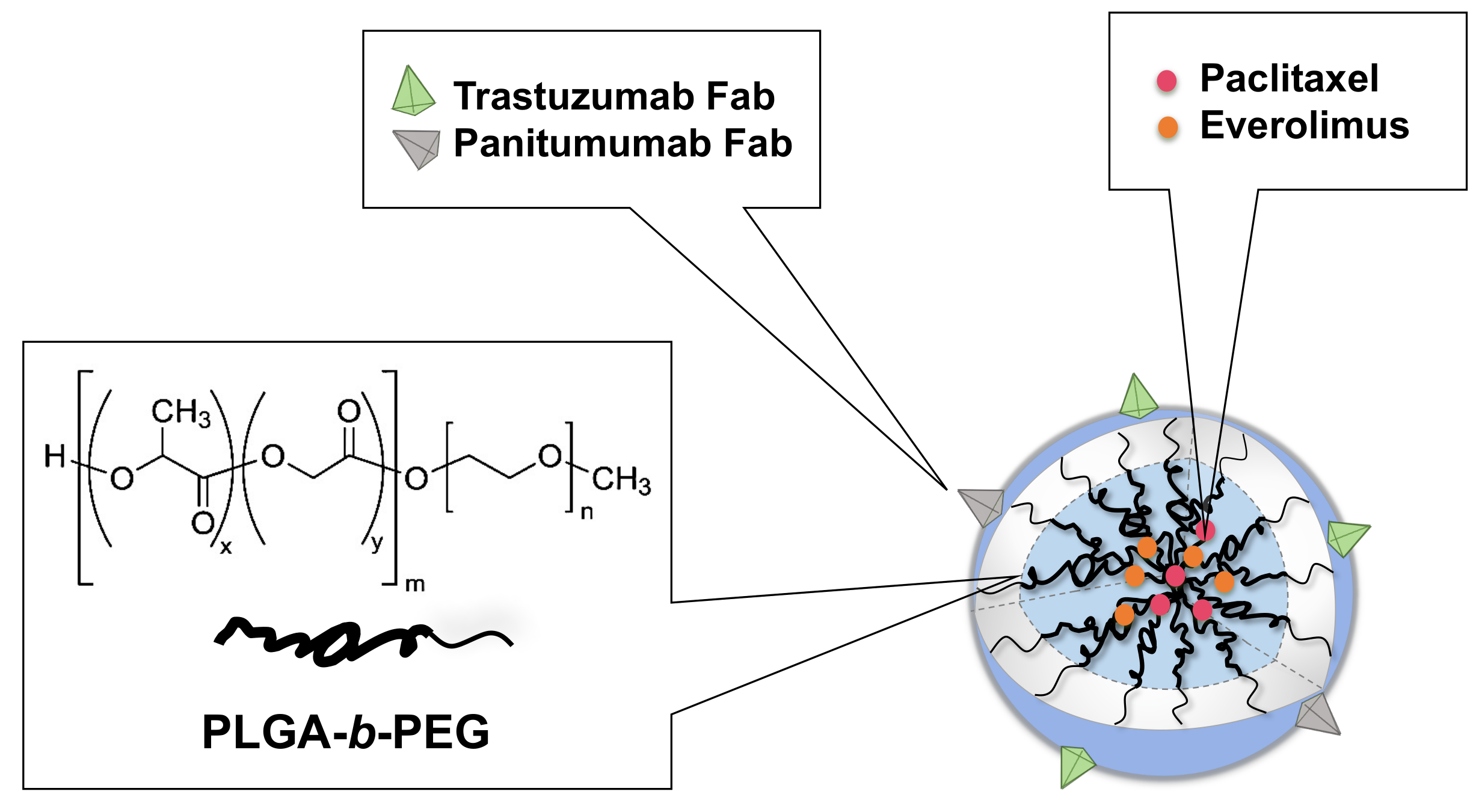 Cancers 11 00752 sch001 Cancers 11 00752 sch001