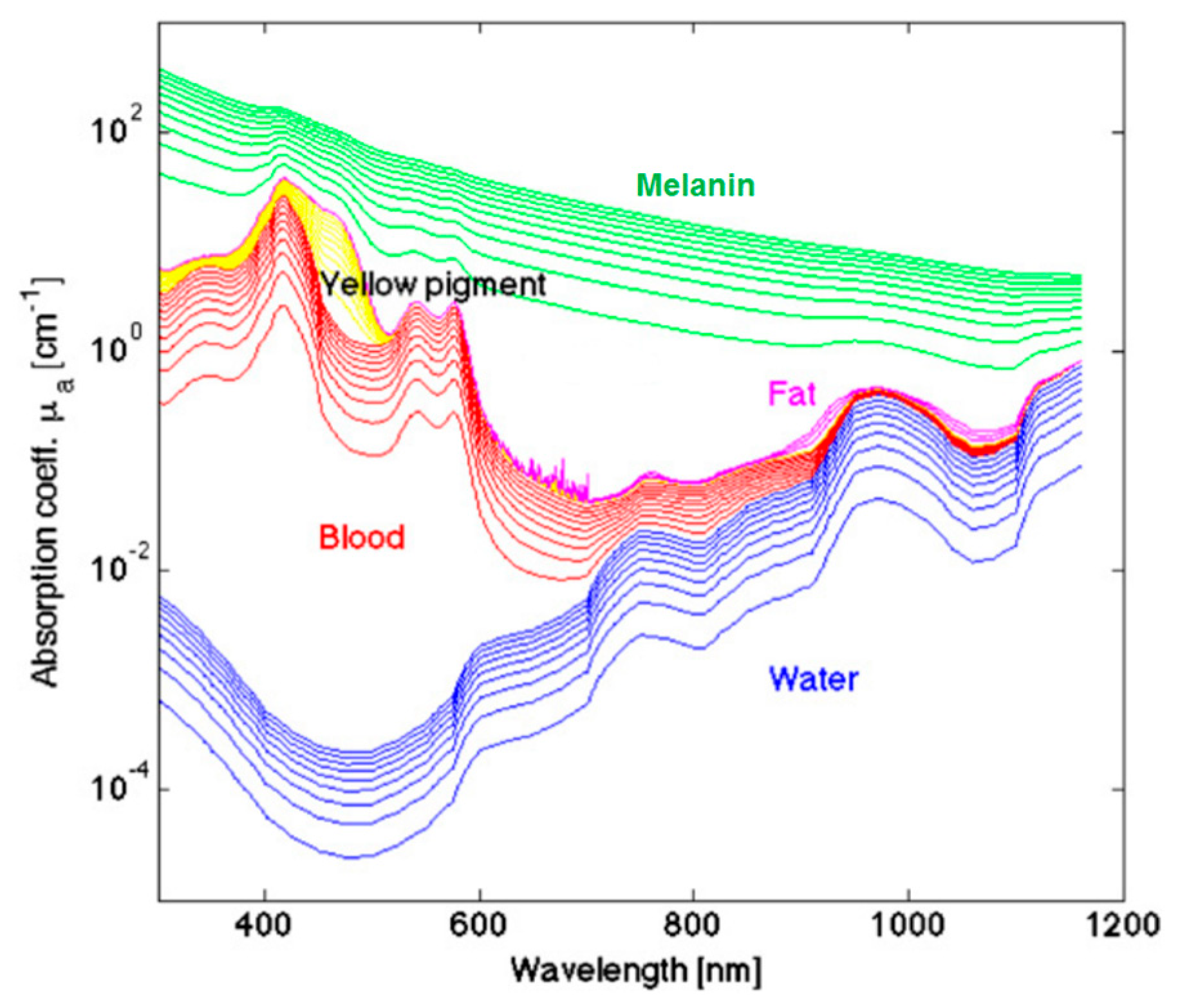 Cancers 11 00756 g004