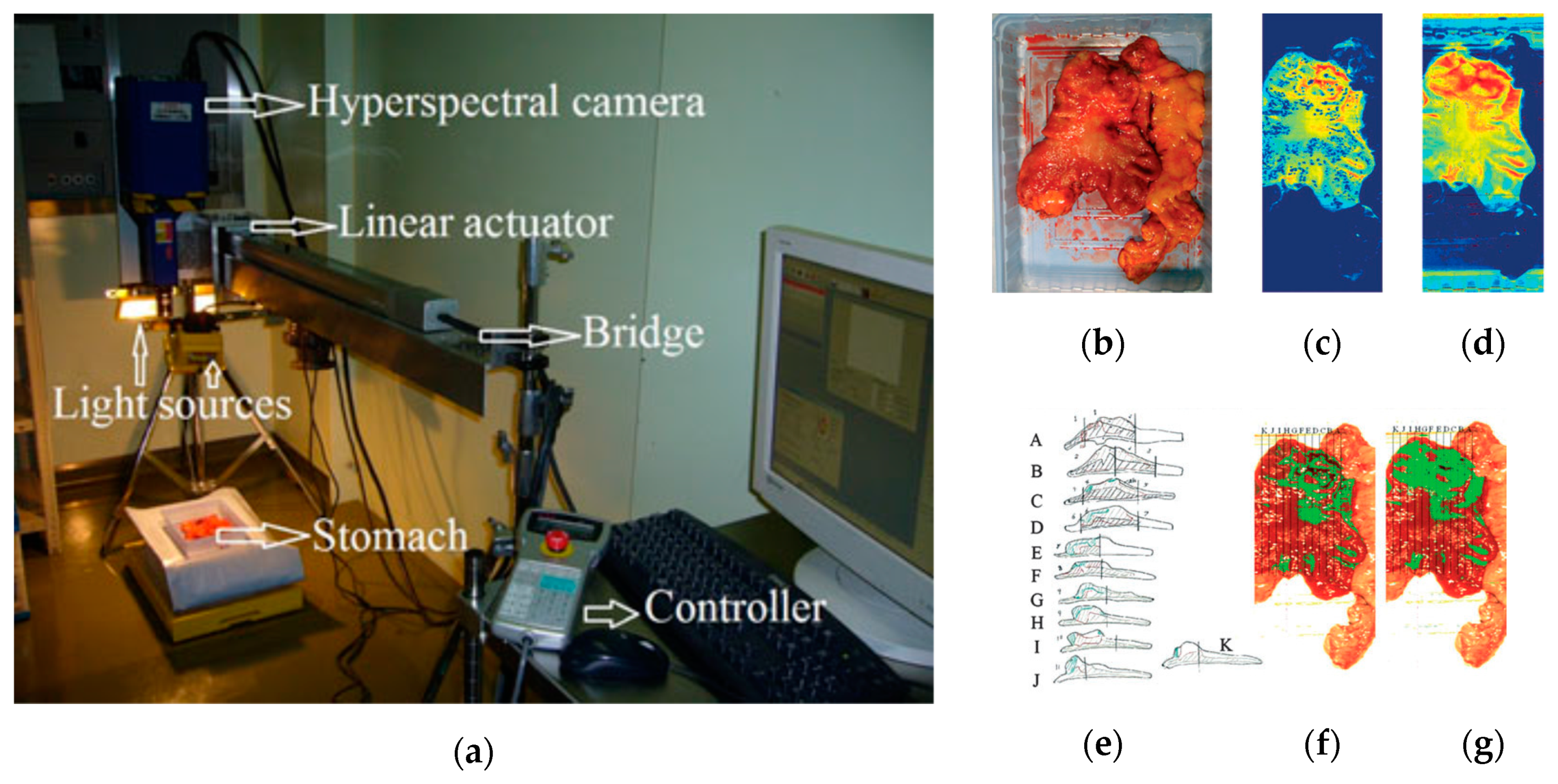 Cancers 11 00756 g006