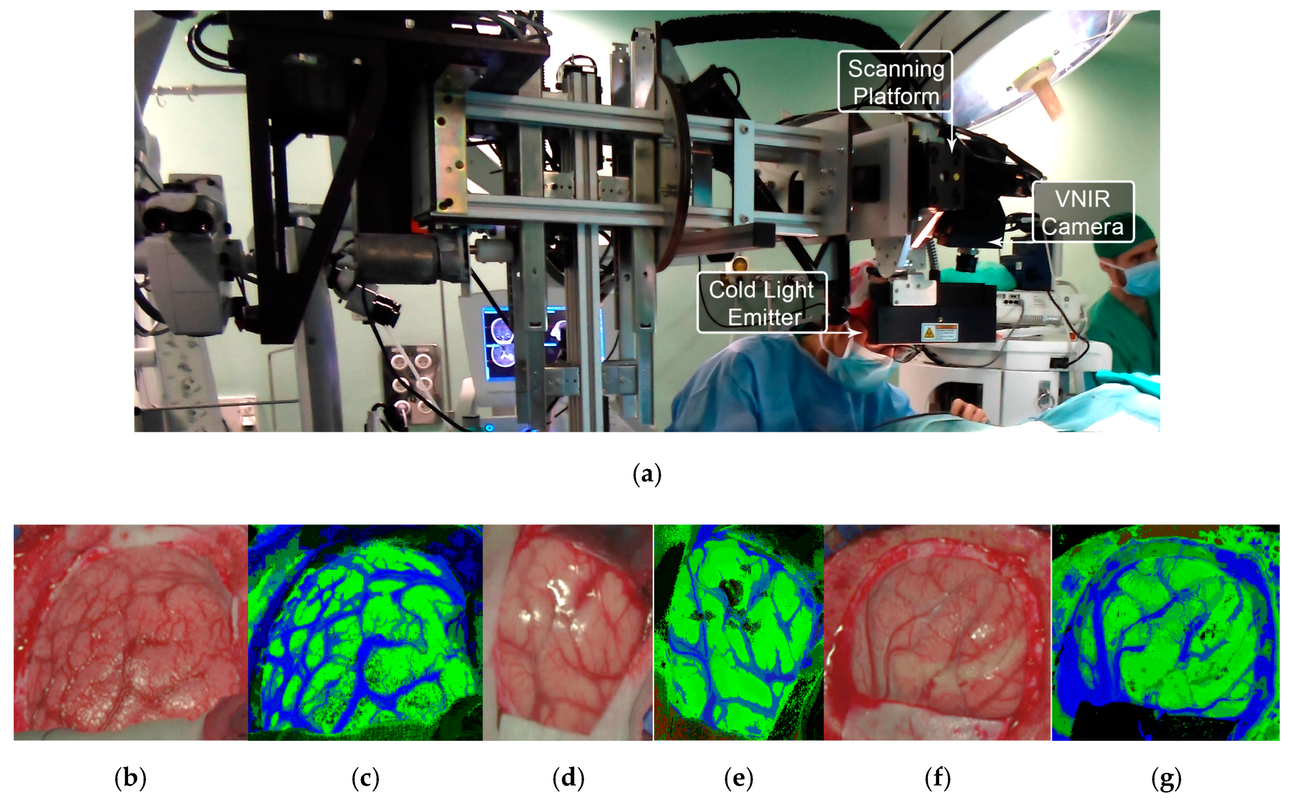 Cancers 11 00756 g011
