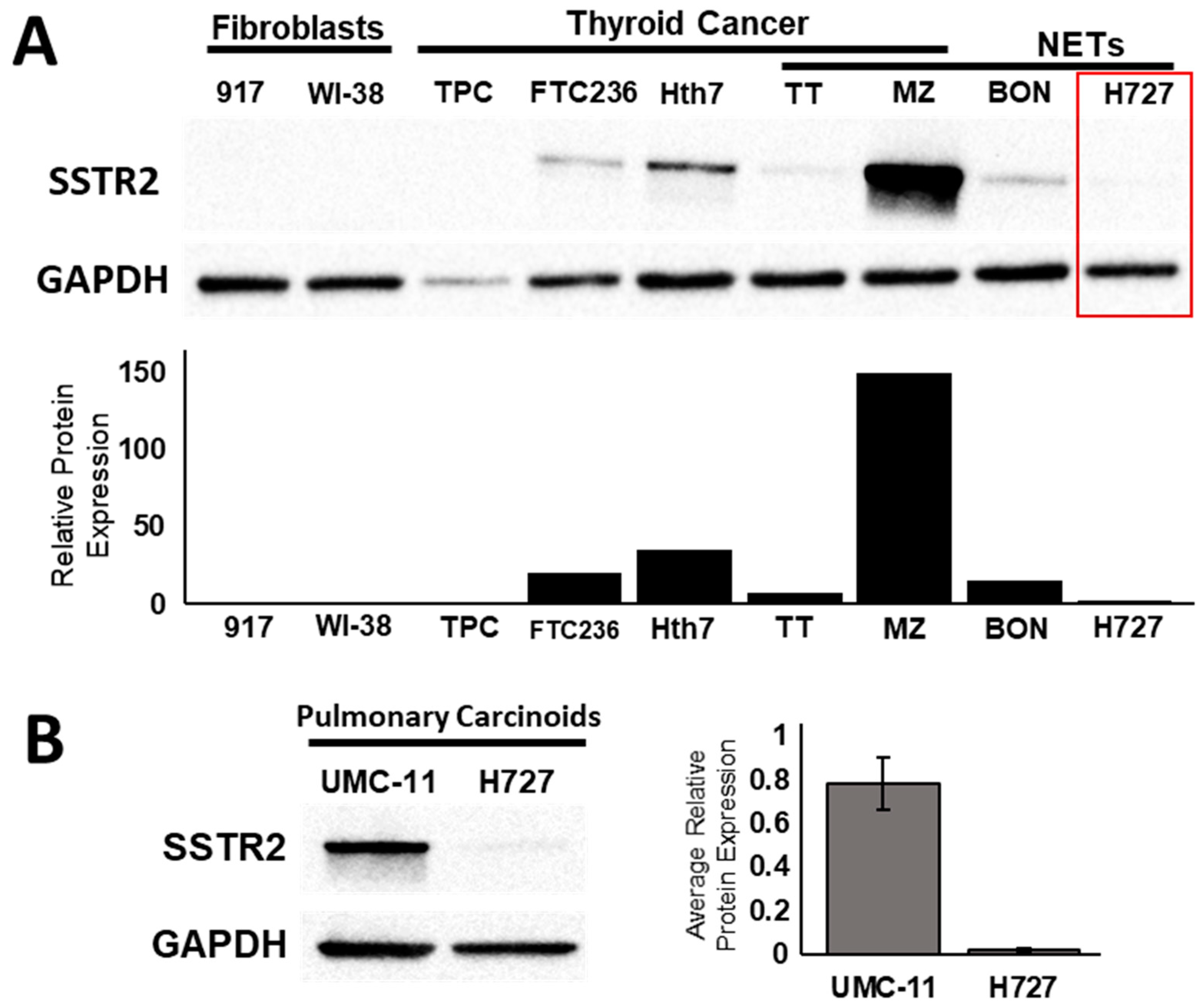 Cancers 11 00767 g001 Cancers 11 00767 g001