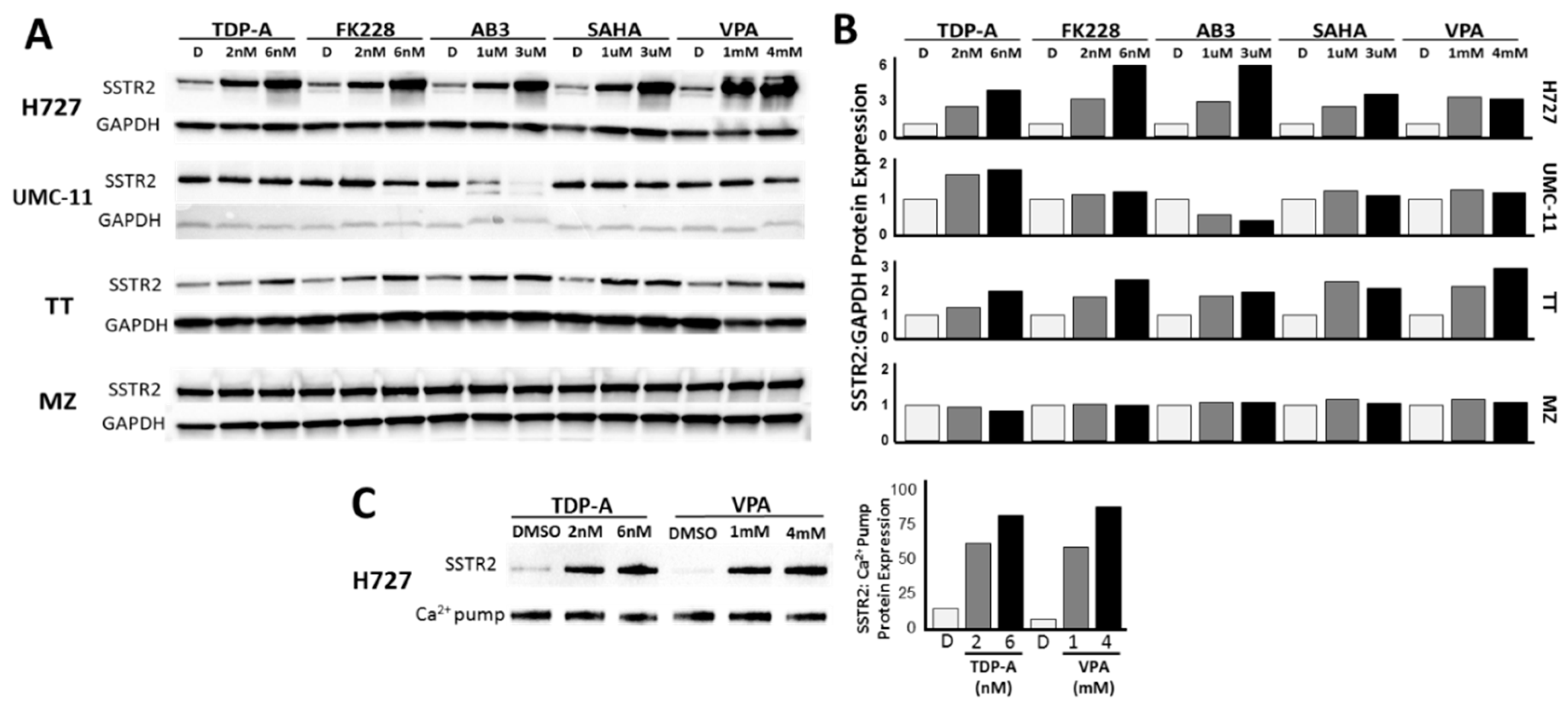 Cancers 11 00767 g003 Cancers 11 00767 g003