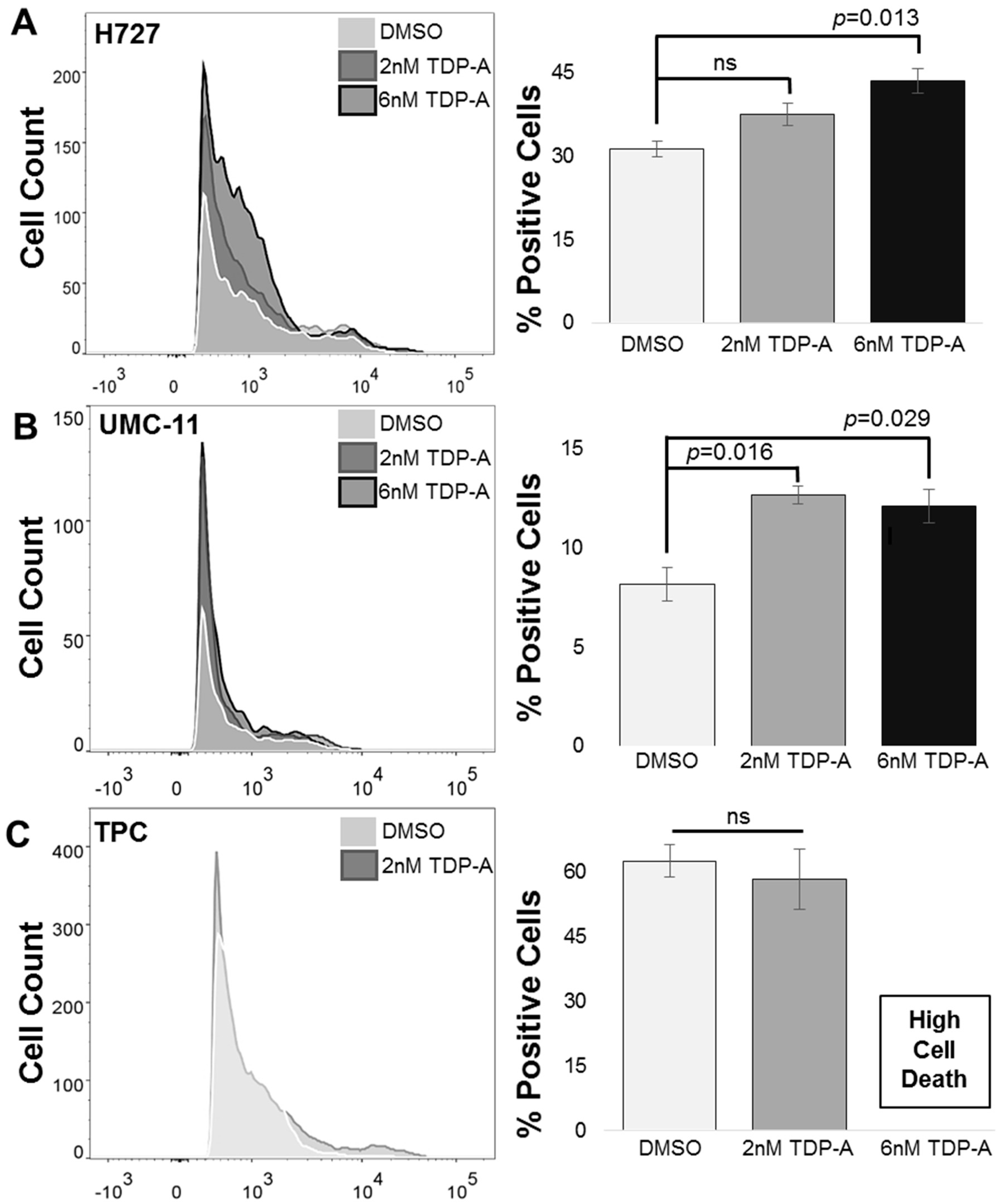 Cancers 11 00767 g004 Cancers 11 00767 g004