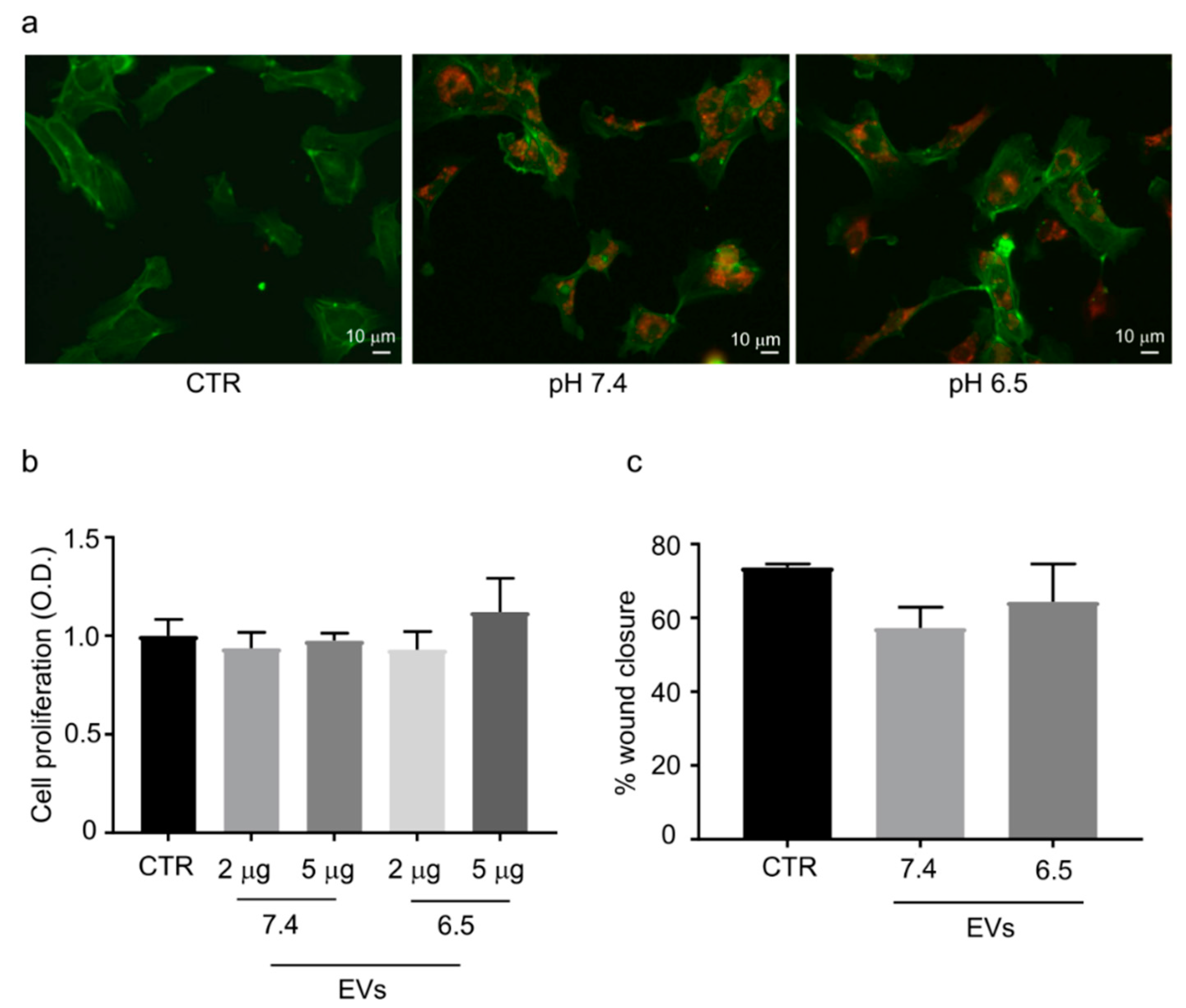 Cancers 11 00779 g002 Cancers 11 00779 g002