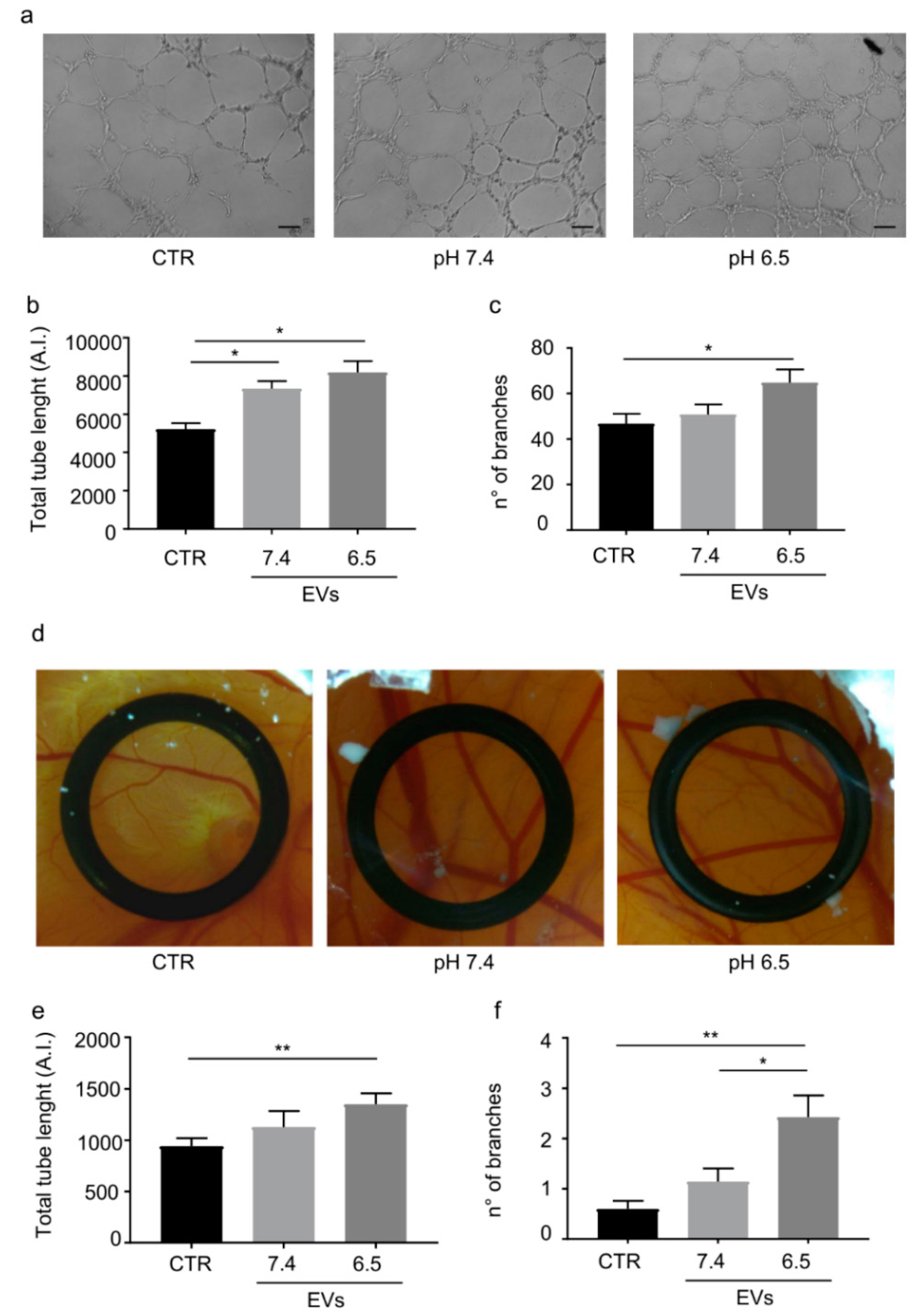 Cancers 11 00779 g003 Cancers 11 00779 g003