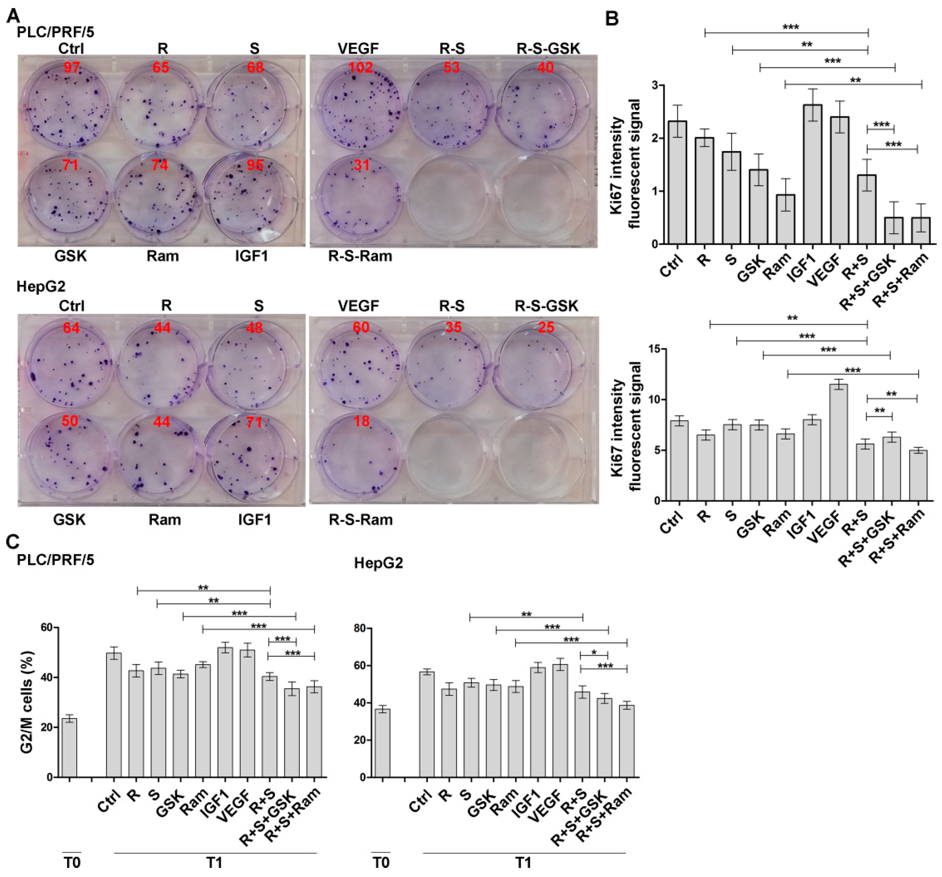 Cancers 11 00787 g002