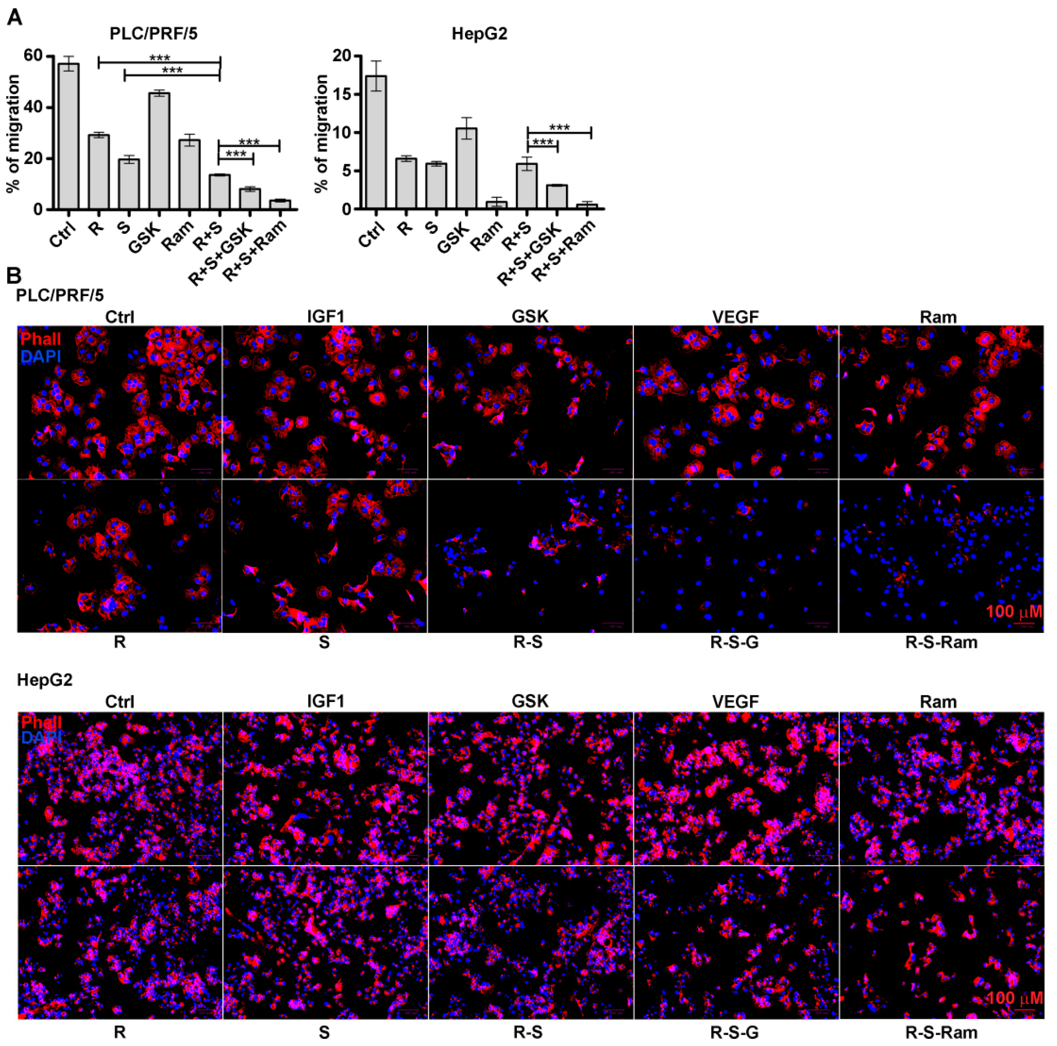 Cancers 11 00787 g004