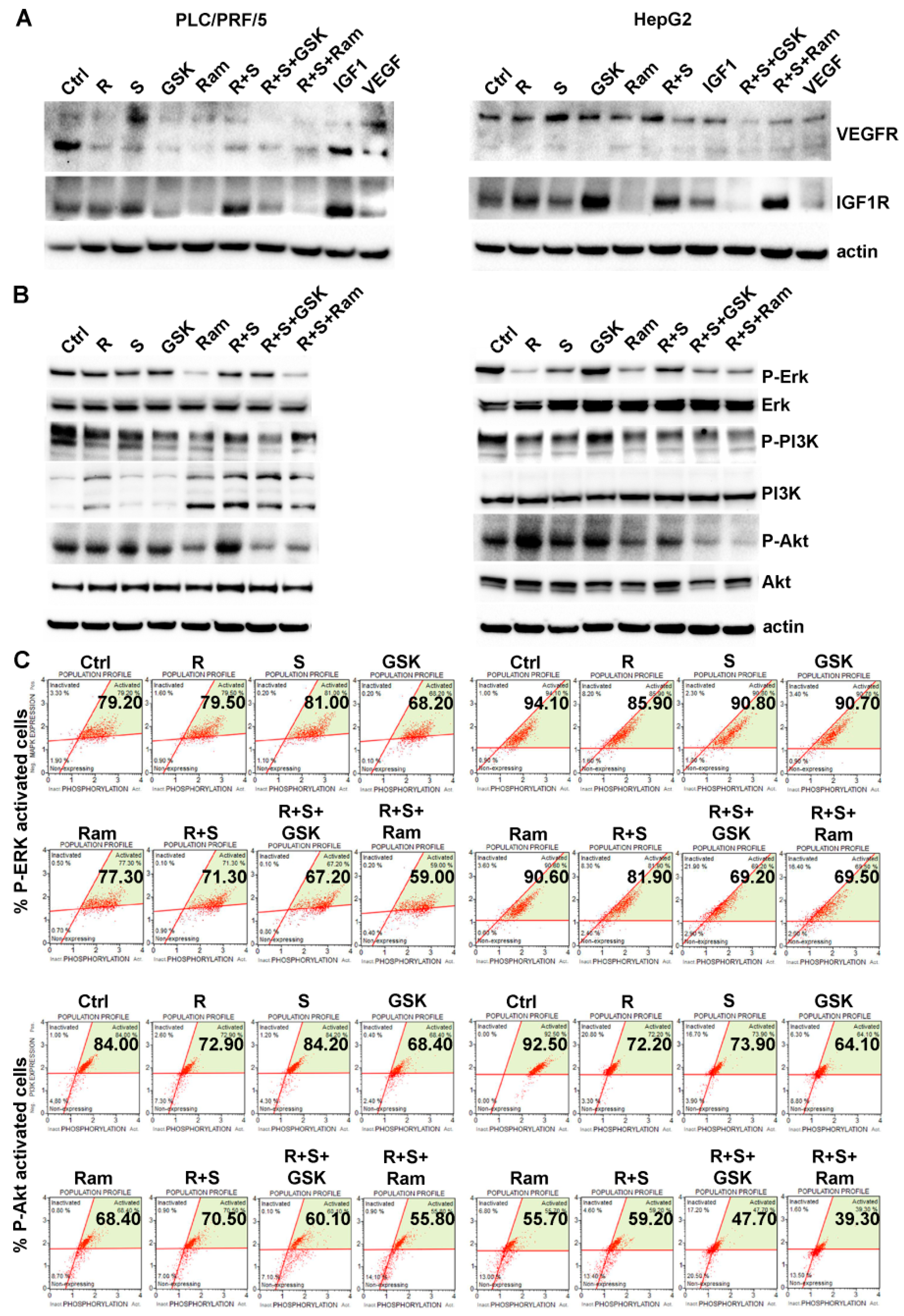 Cancers 11 00787 g006
