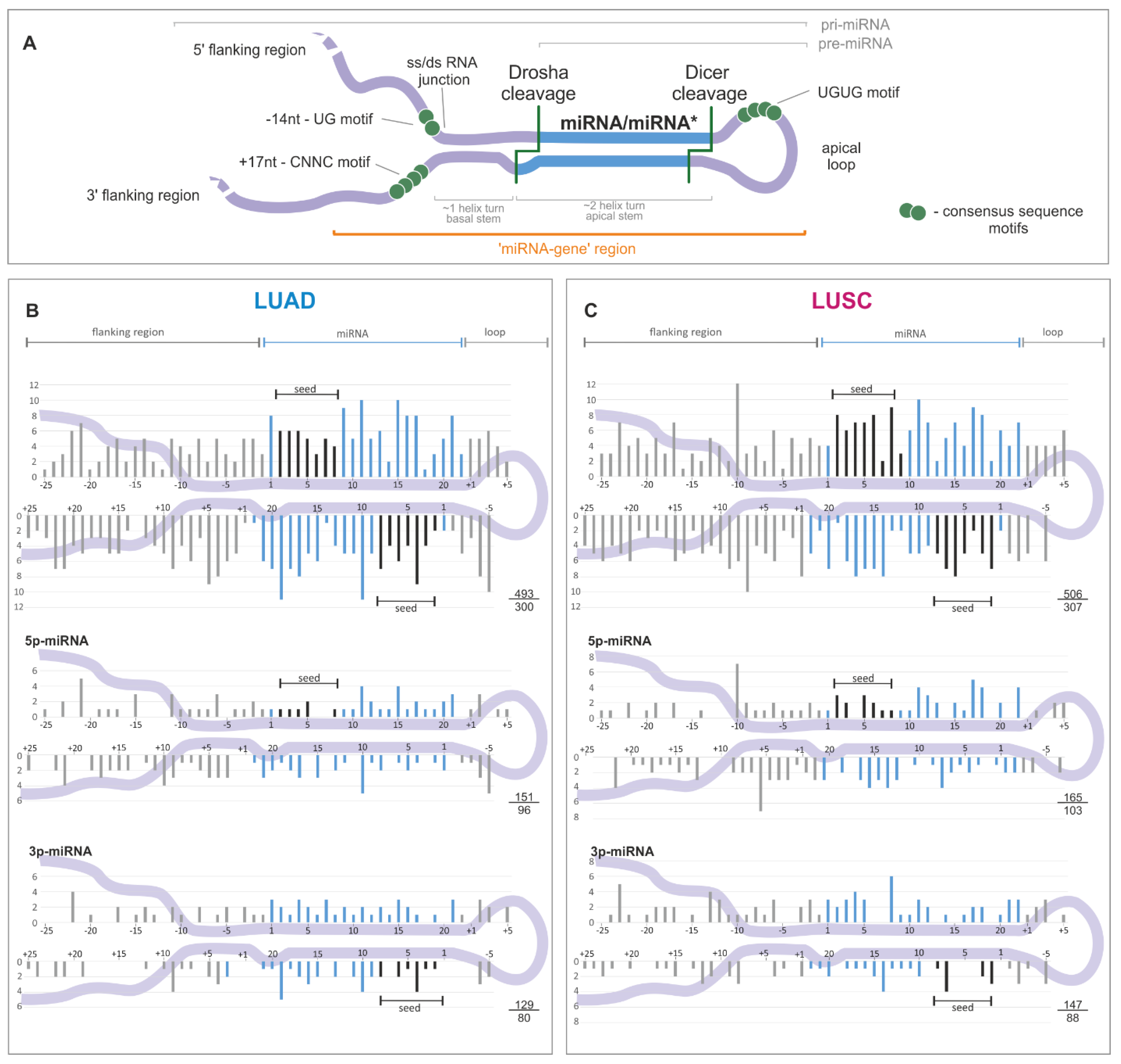 Cancers 11 00793 g002