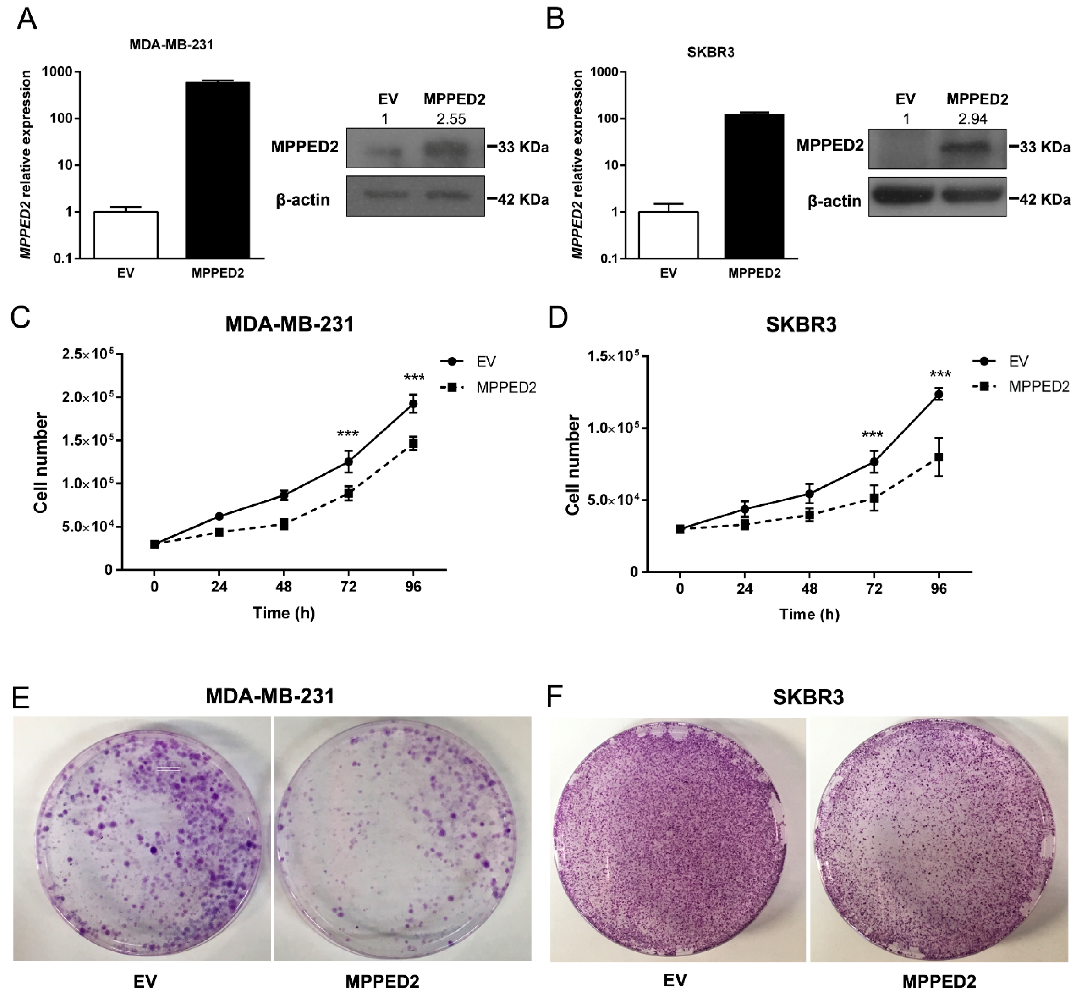 Cancers 11 00797 g005 Cancers 11 00797 g005
