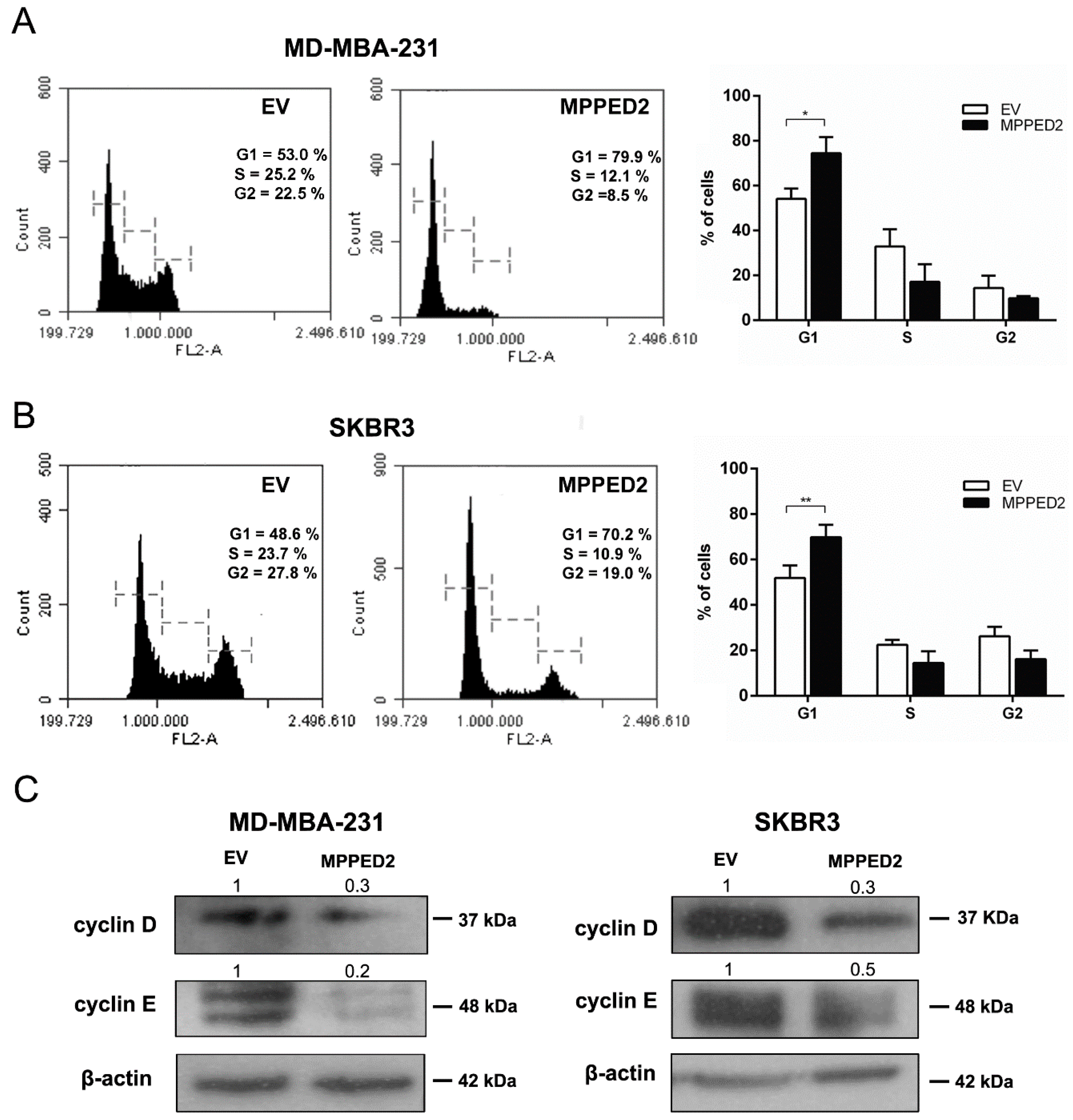 Cancers 11 00797 g006 Cancers 11 00797 g006