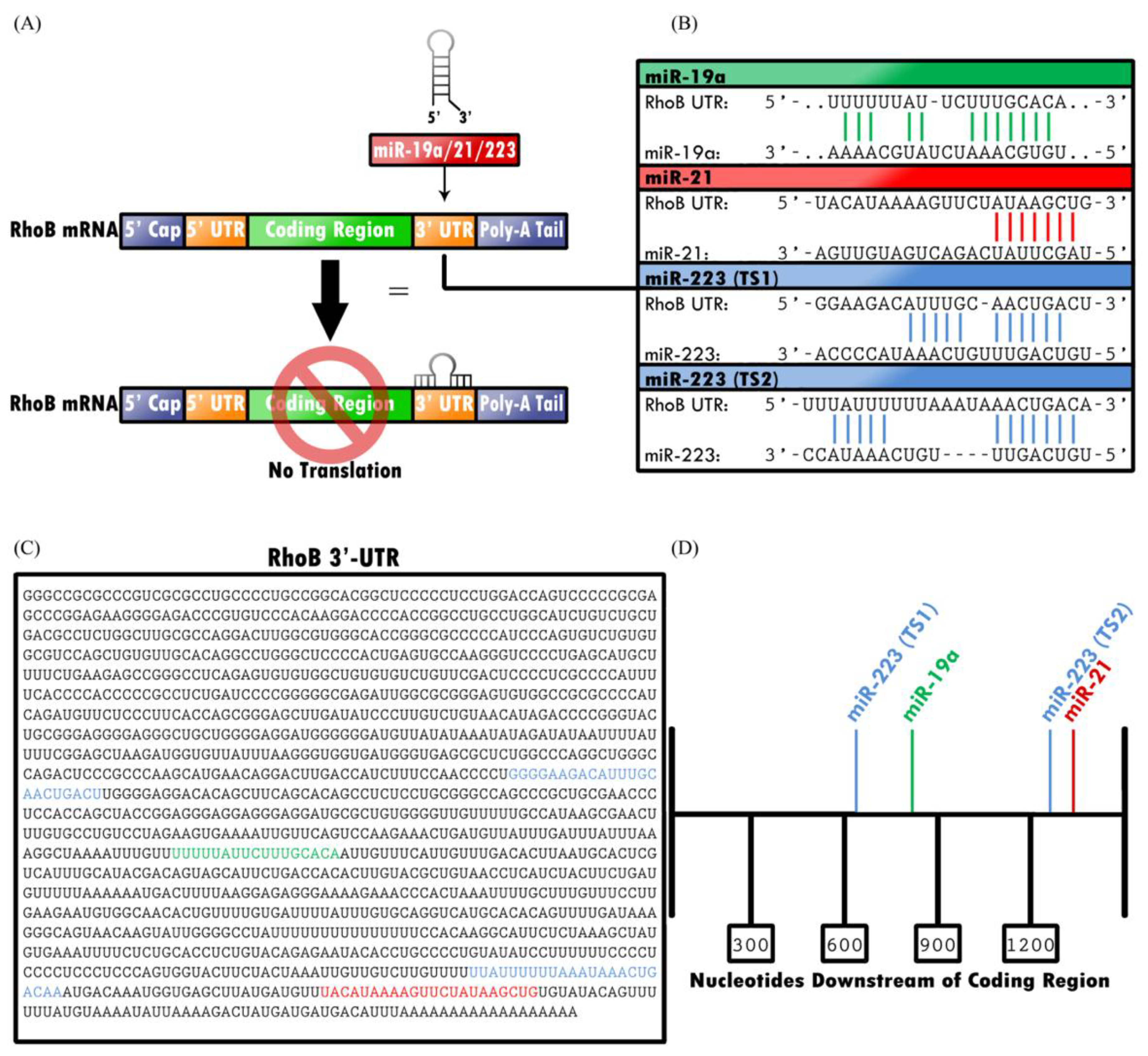 Cancers 11 00818 g002