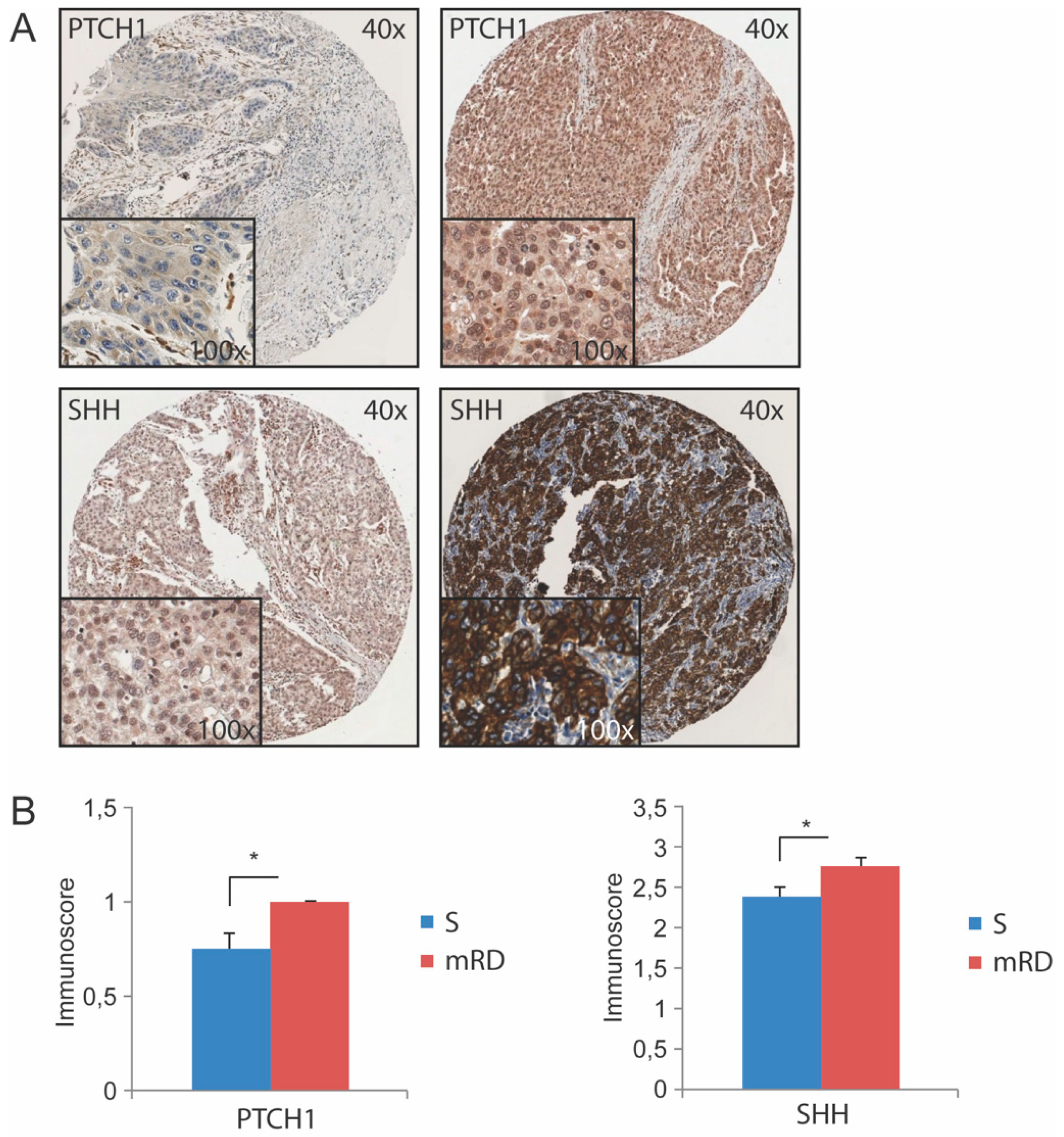 Cancers 11 00821 g001